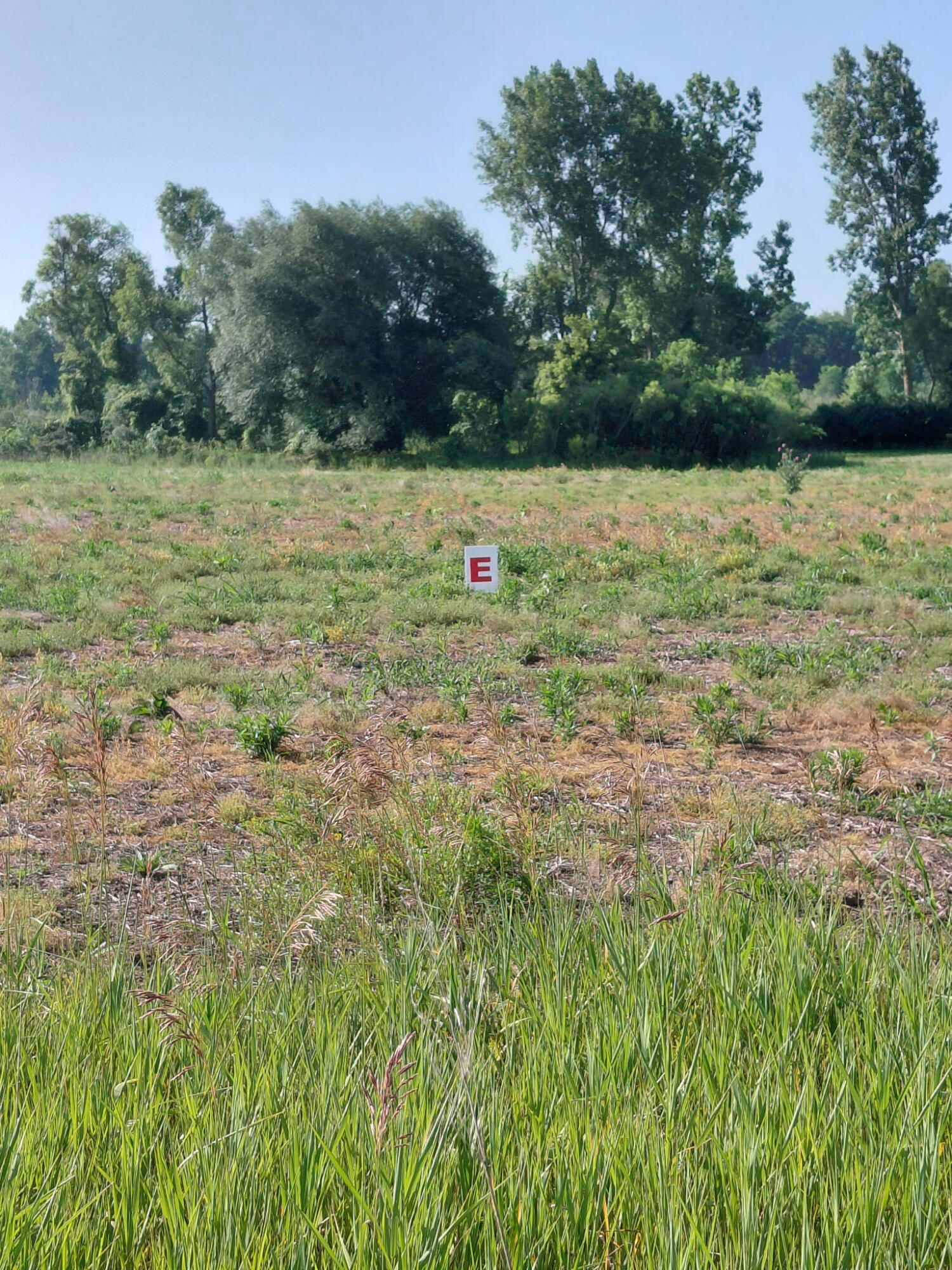 Lot E Stony Lake Road Property Photo 1