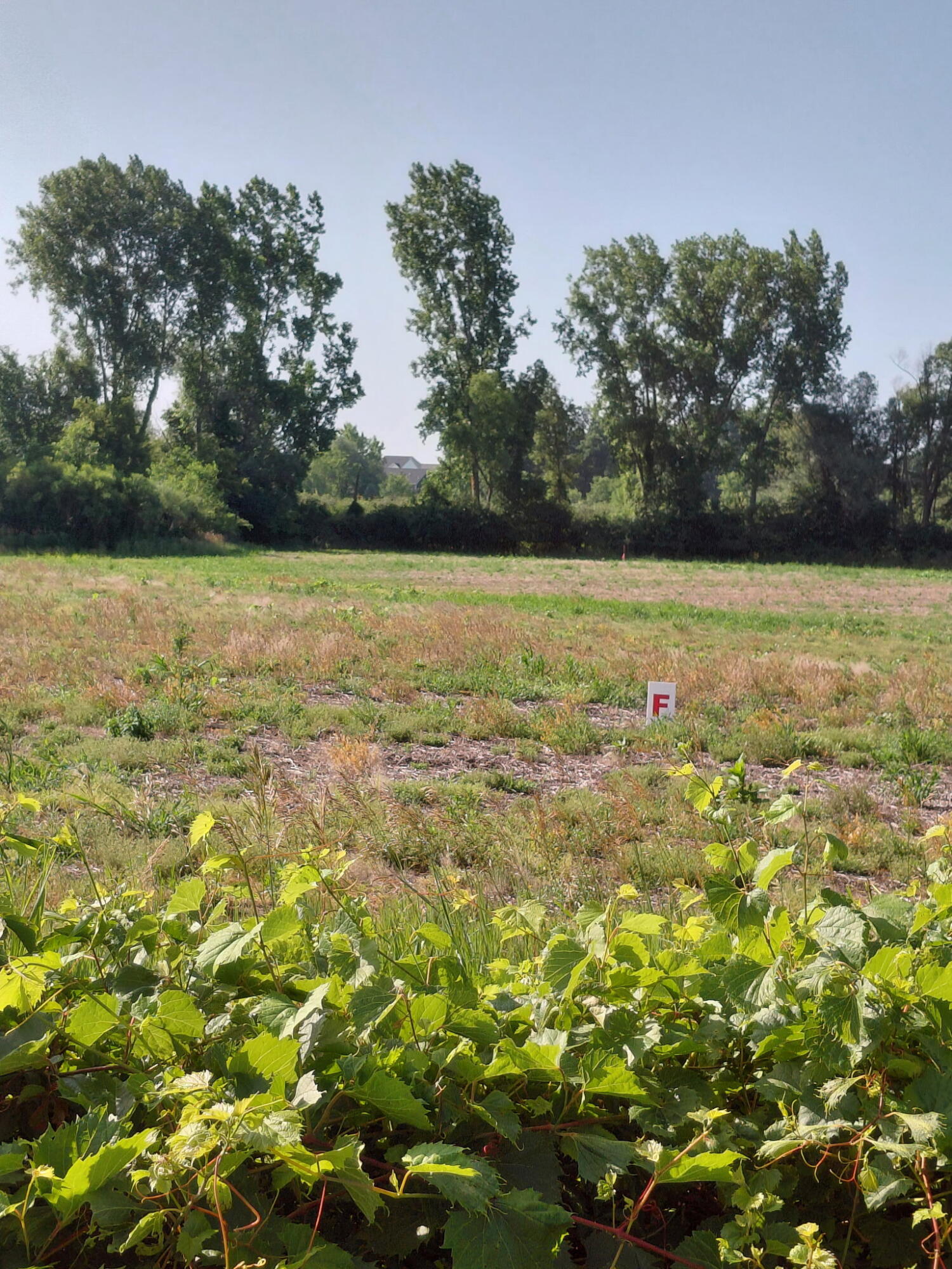 Lot F Stony Lake Road Property Photo 1