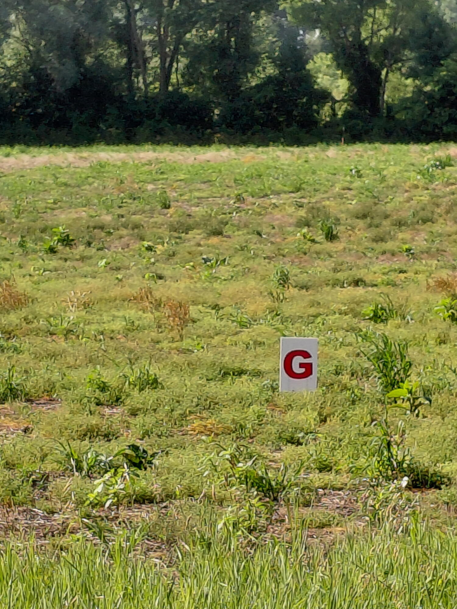 Lot G Stony Lake Road Property Photo 1