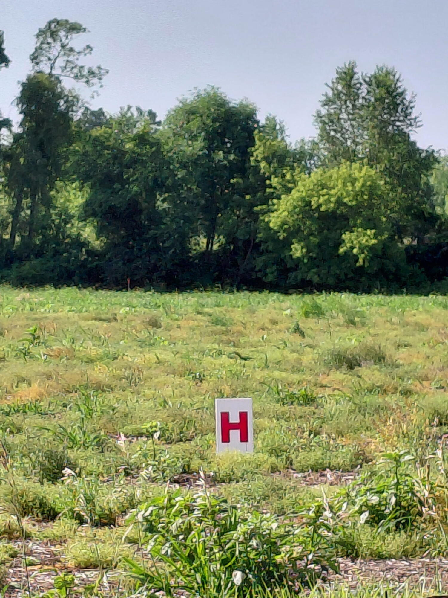Lot H Stony Lake Road Property Photo 1