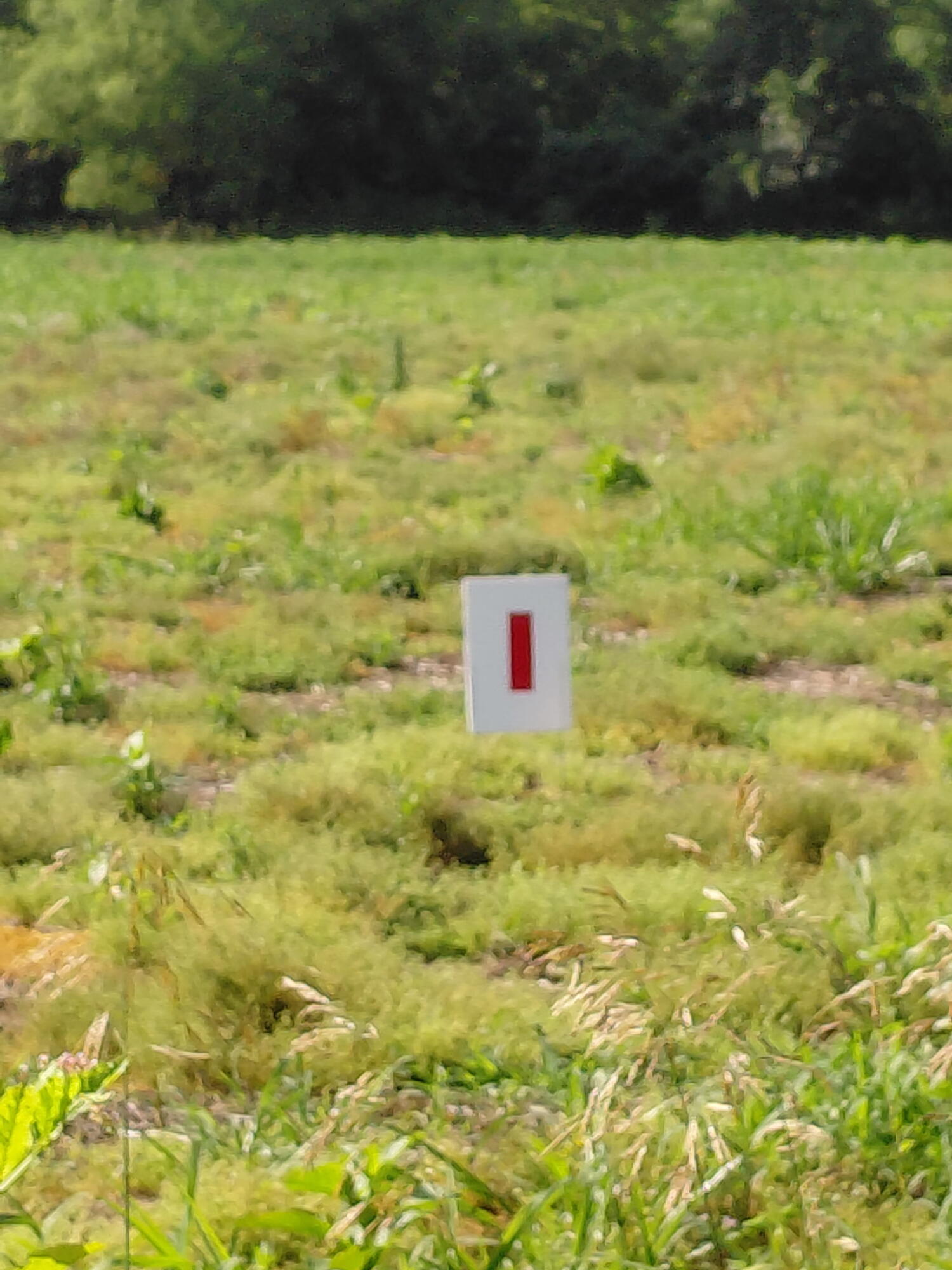 Lot I Stony Lake Road Property Photo 1