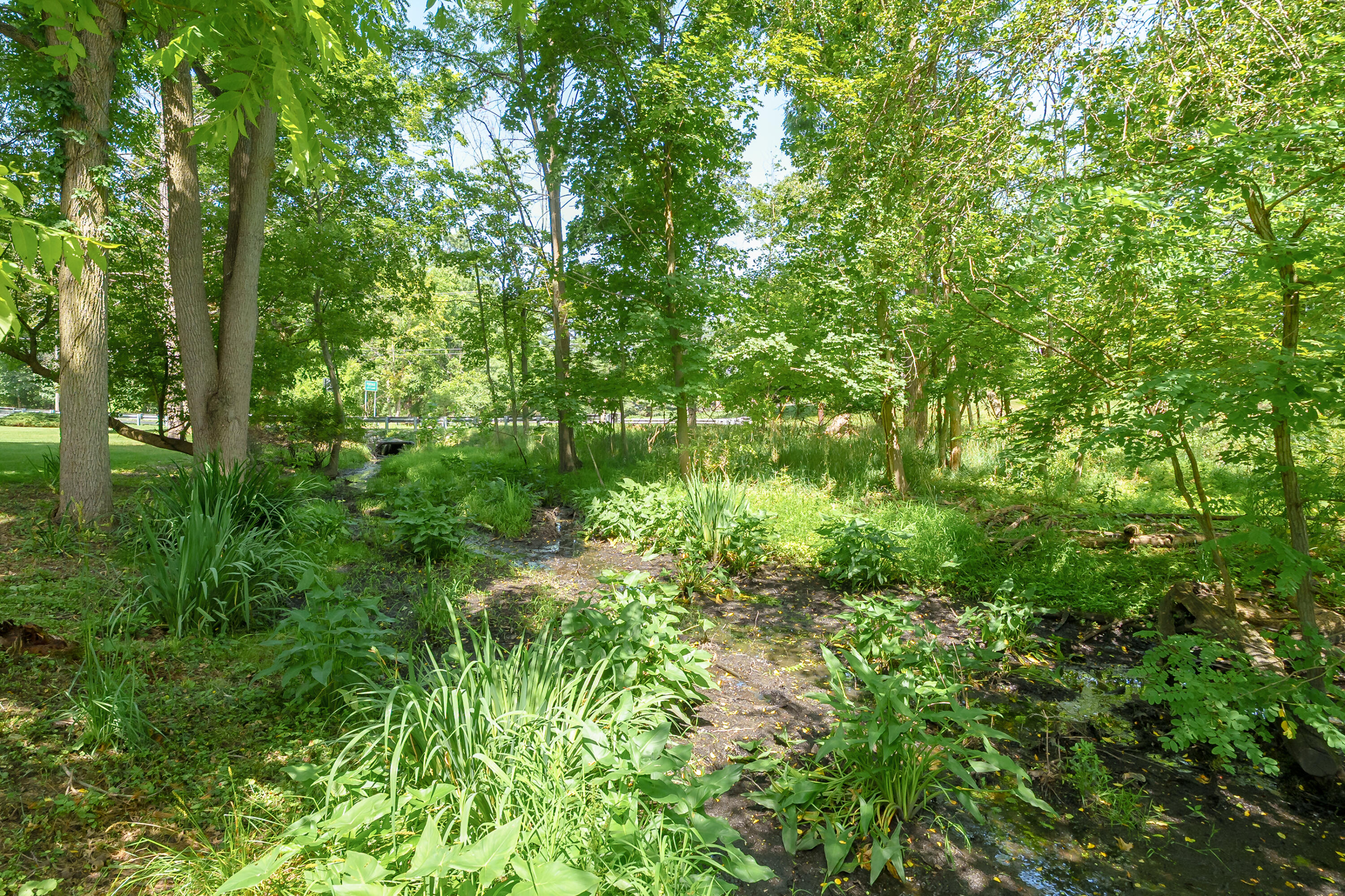5017 Merryview Drive Property Photo 44