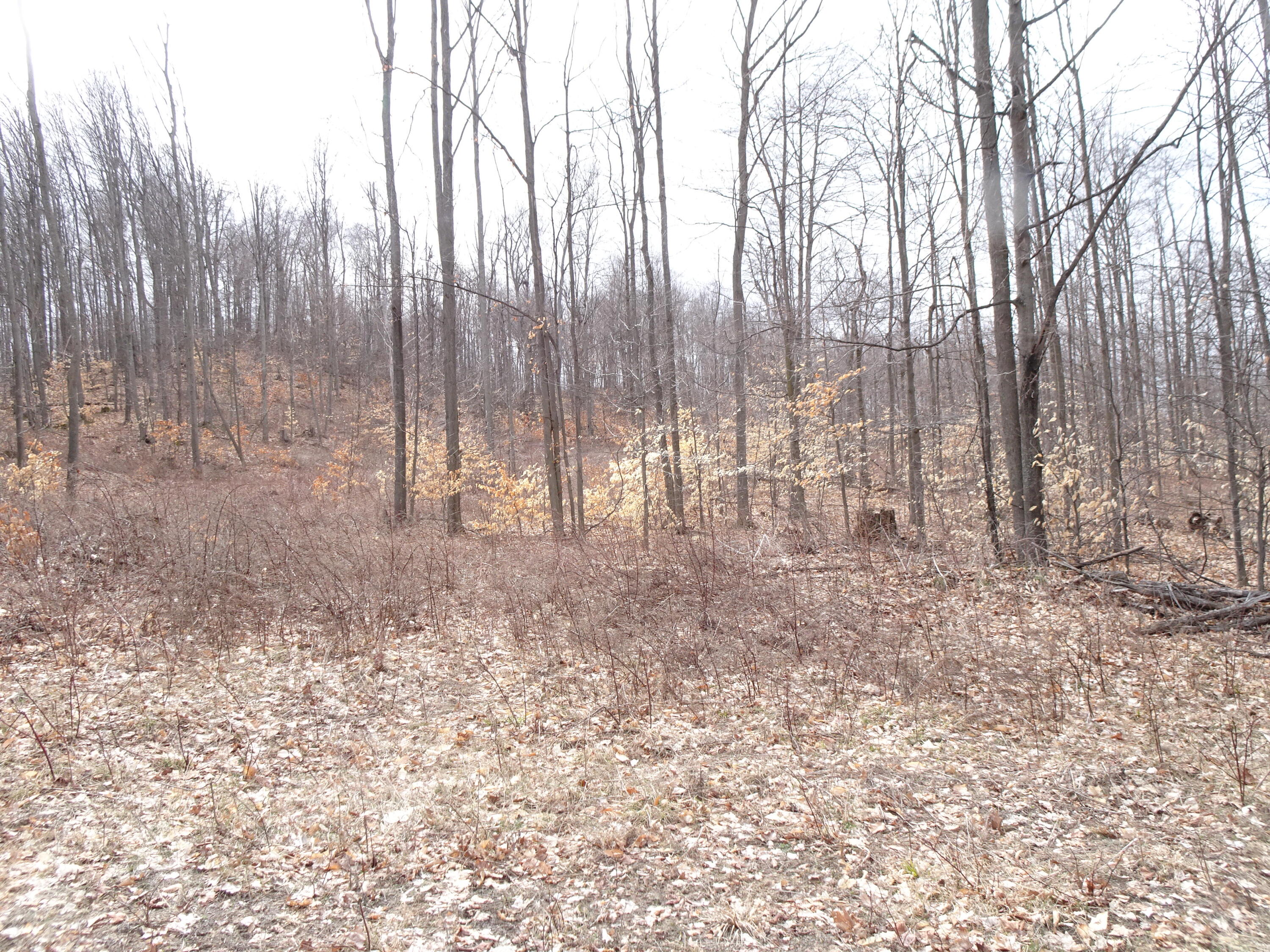 L Chief Road Property Photo 1