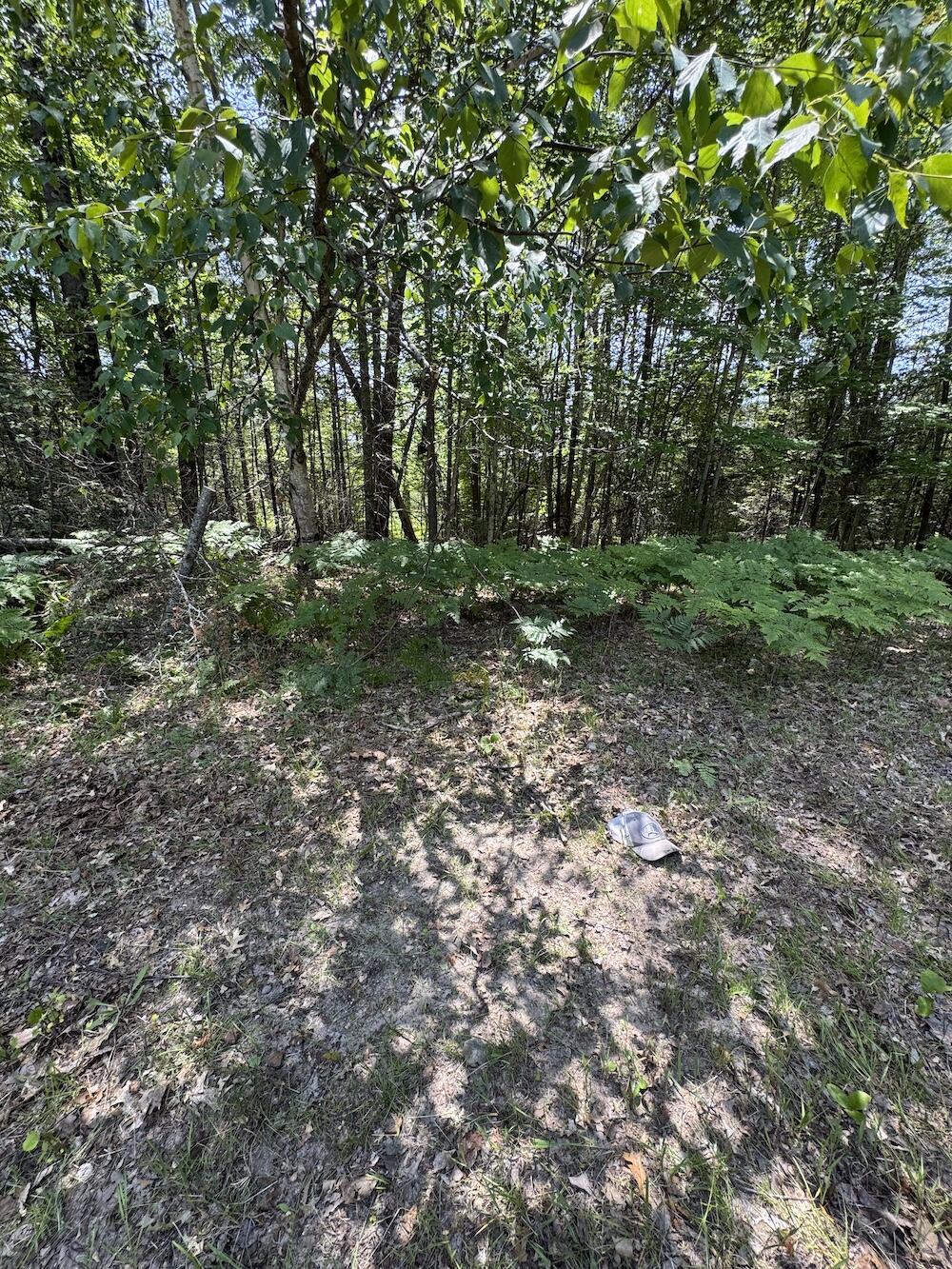 S Loxley Road Property Photo 48