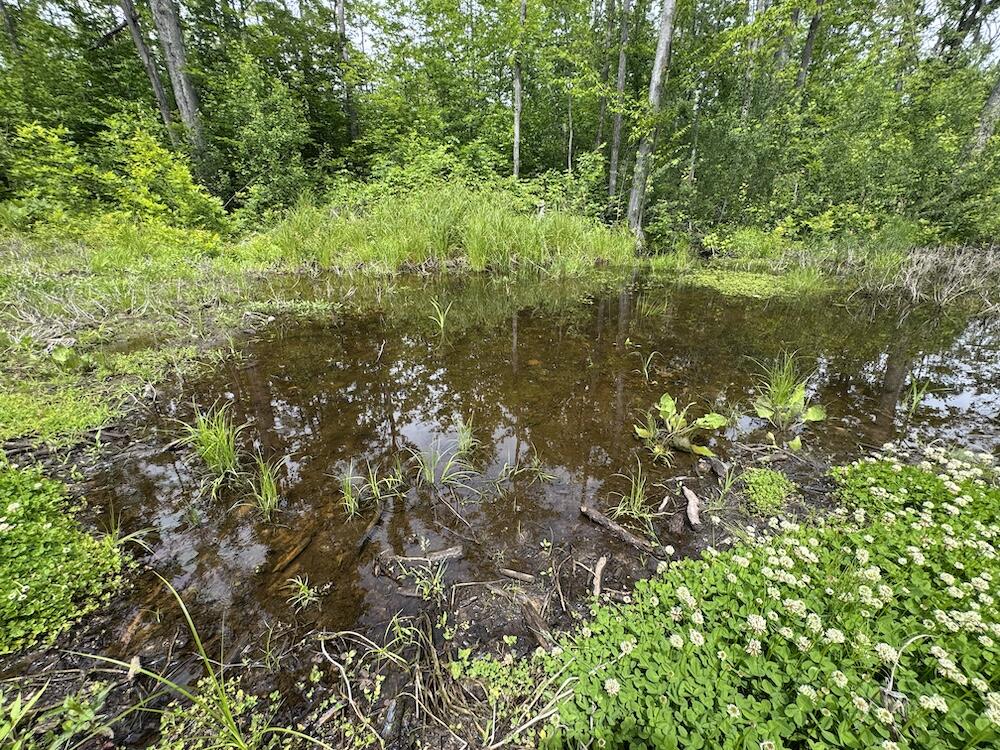 1692 N Galbraith Road Property Photo 8