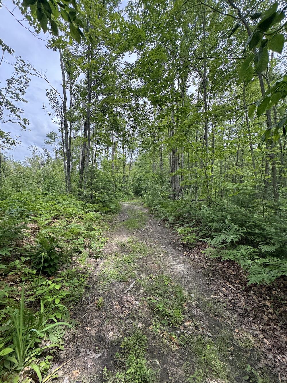1692 N Galbraith Road Property Photo 30