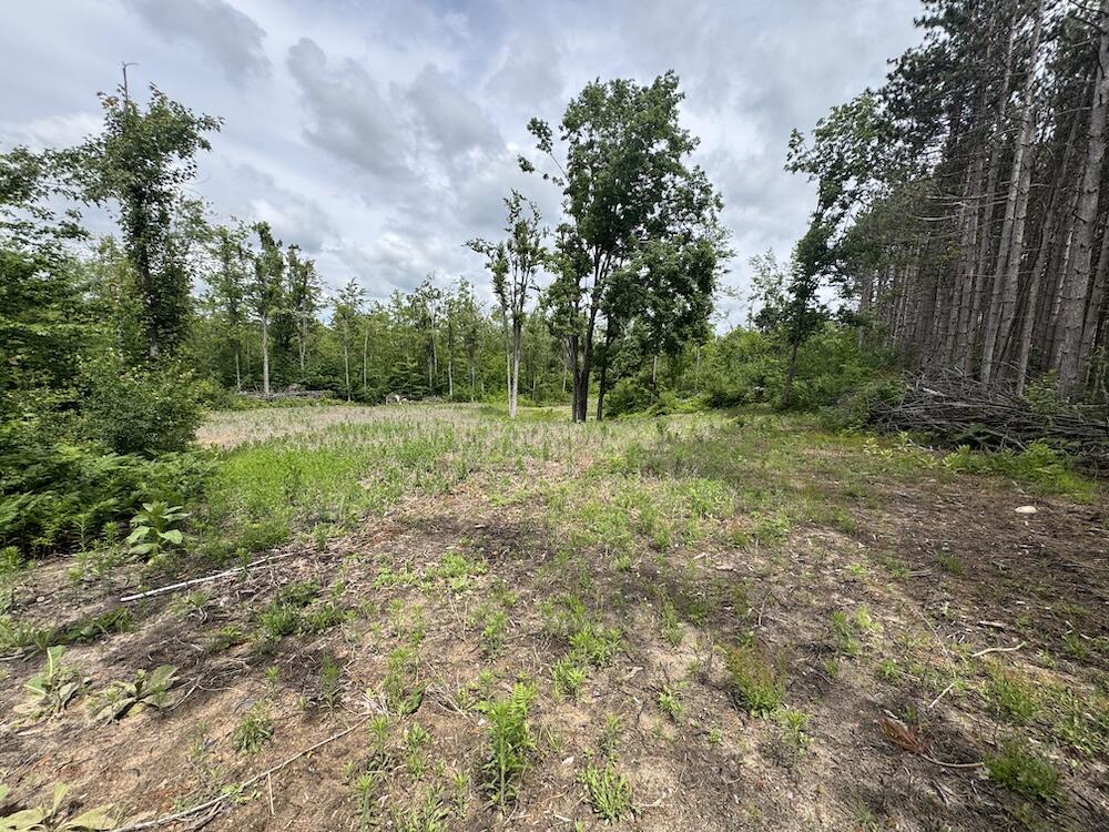 1692 N Galbraith Road Property Photo 33