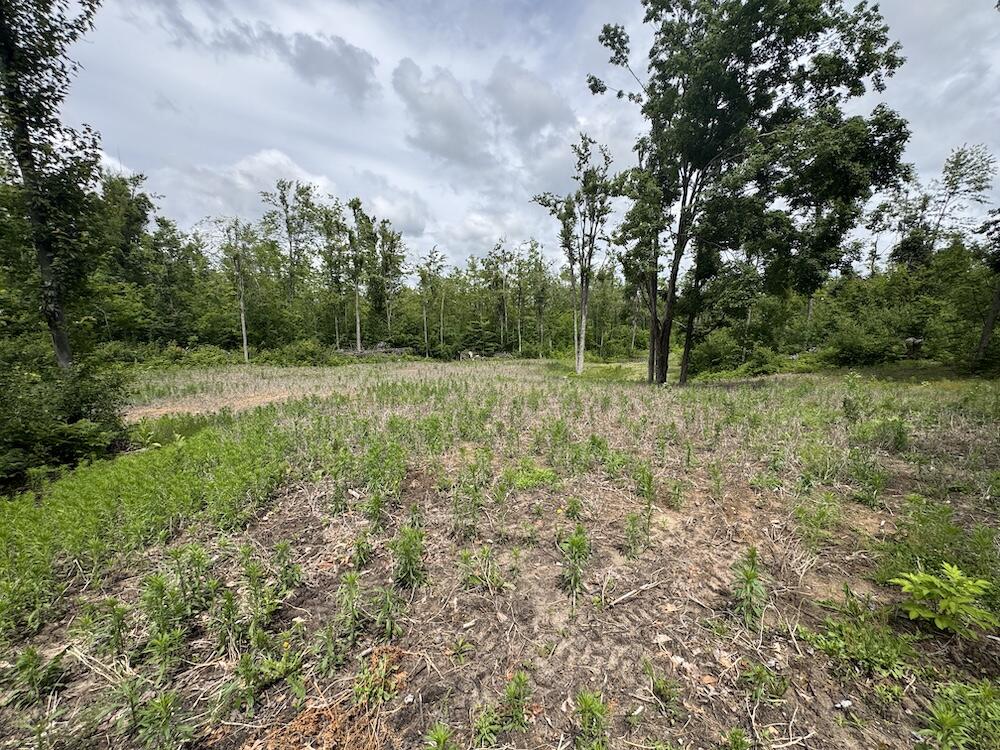 1692 N Galbraith Road Property Photo 34