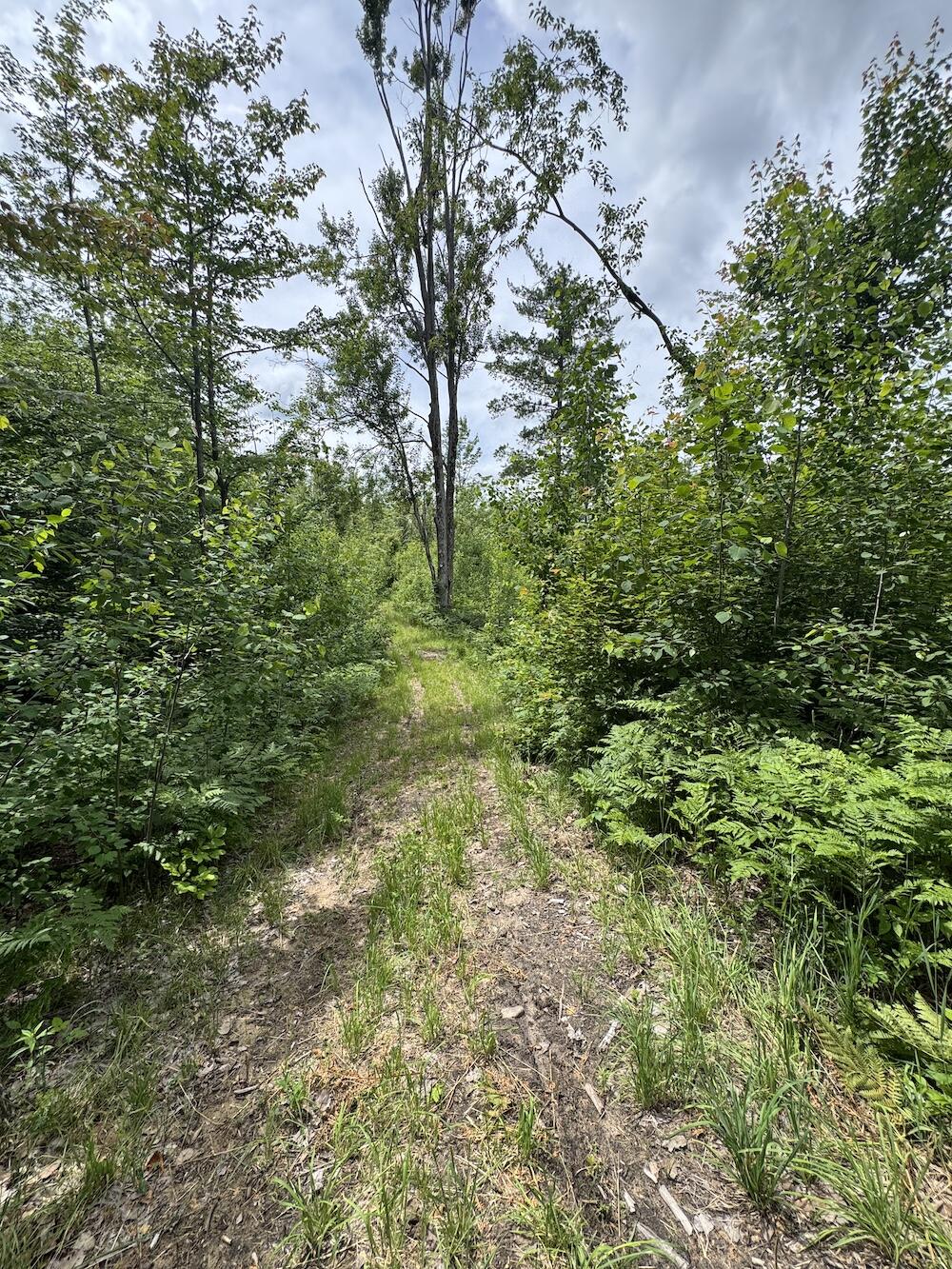 1692 N Galbraith Road Property Photo 80