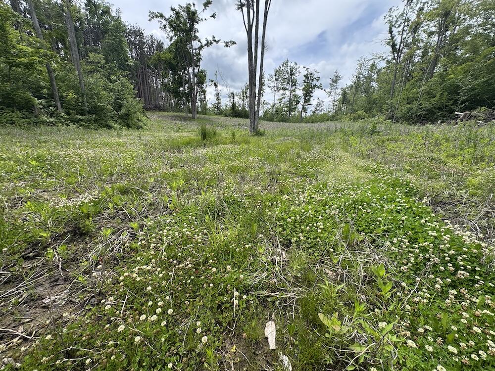 1692 N Galbraith Road Property Photo 81
