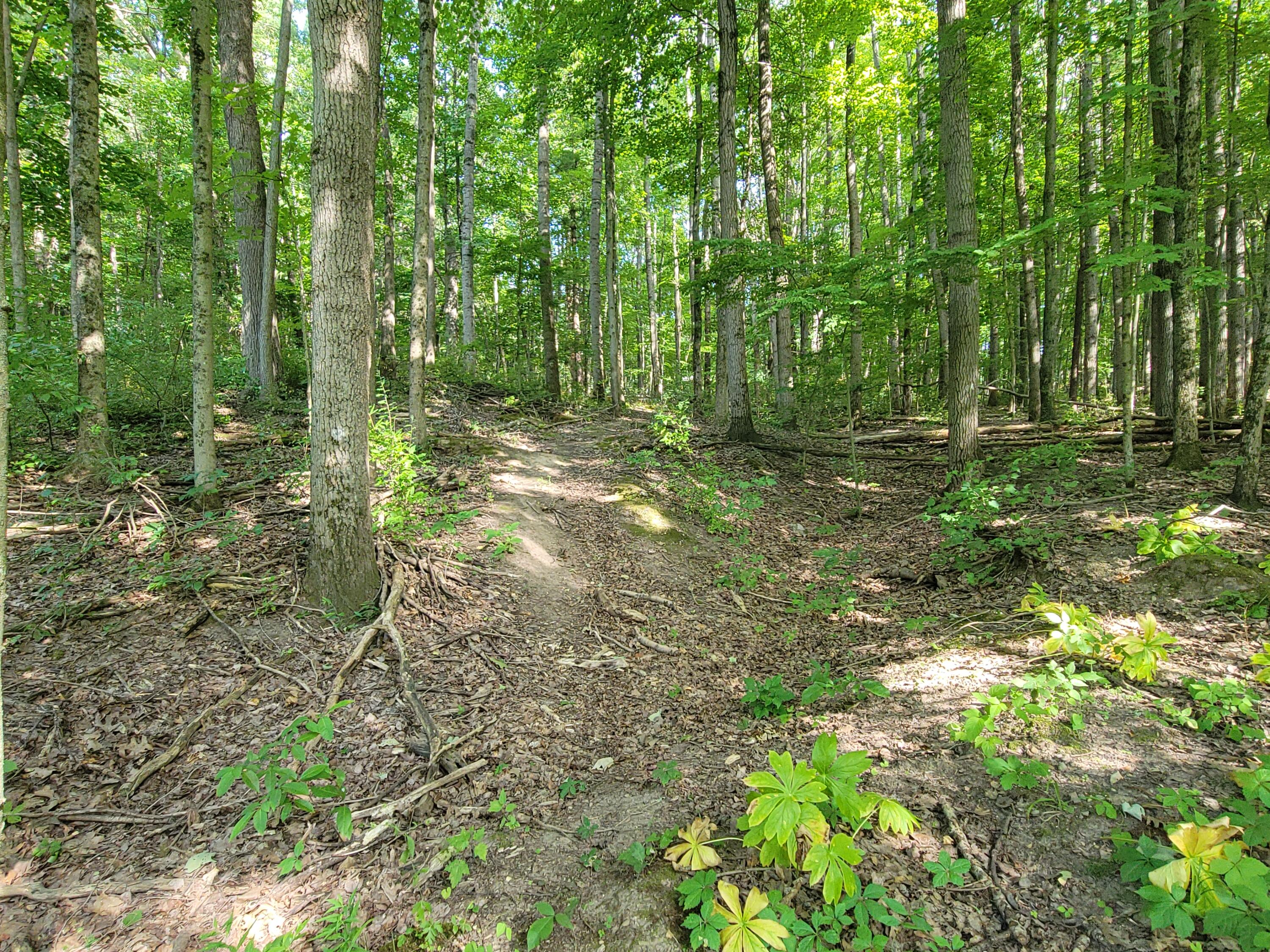 2996 Court Drive Se Property Photo 6