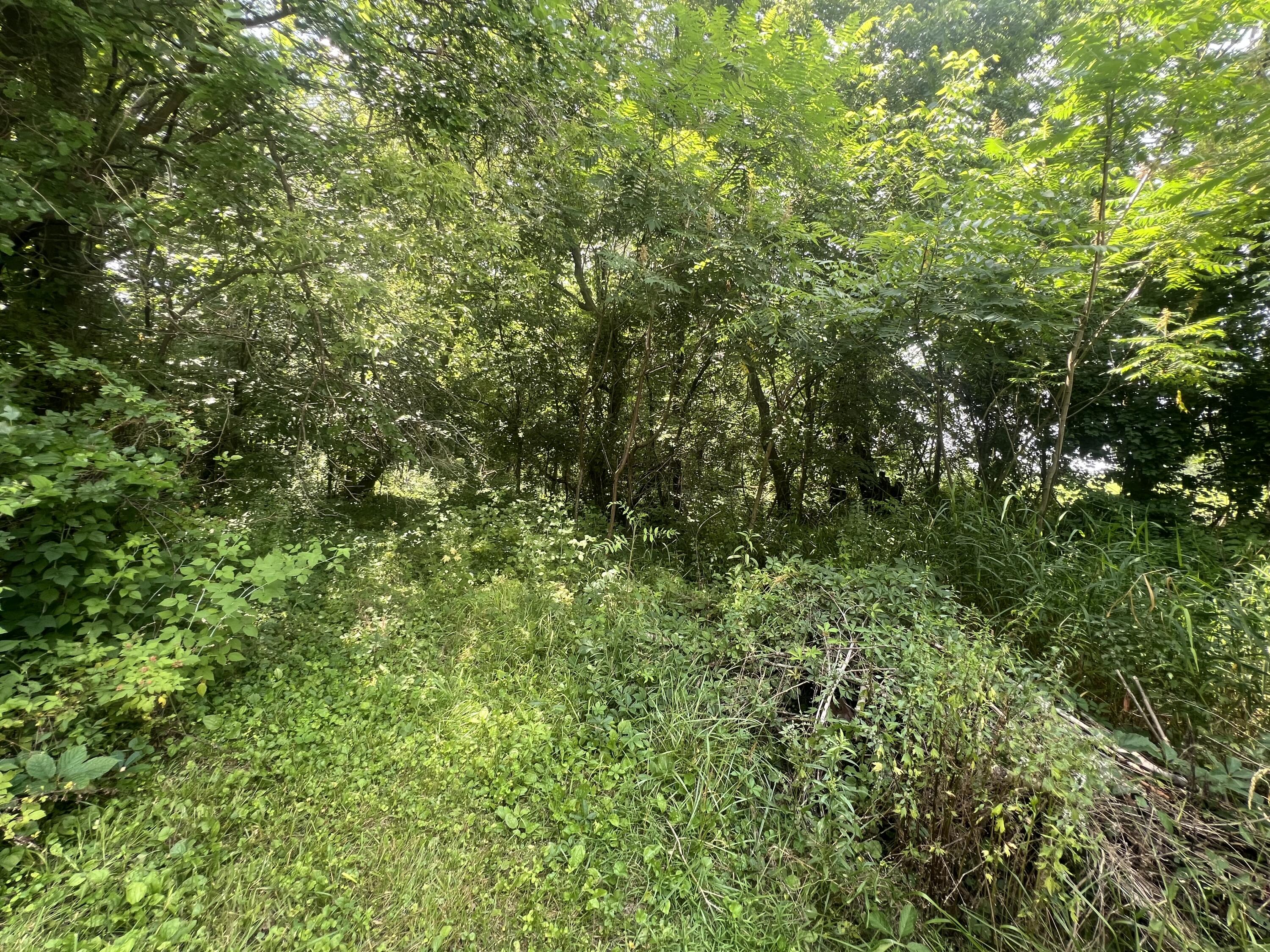 2117 E Jackson Drive Property Photo 18
