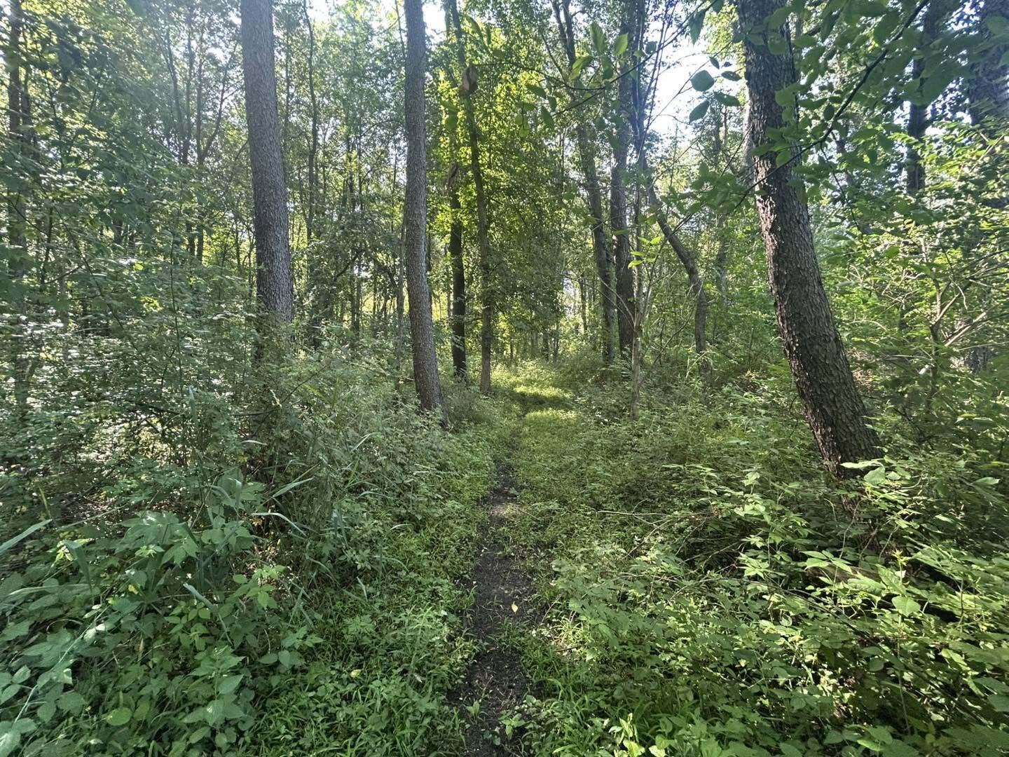 7509 Genesee Road Property Photo 8