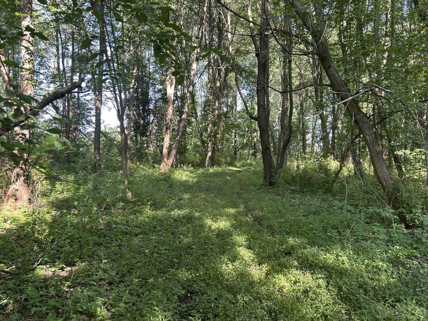 7509 Genesee Road Property Photo 10