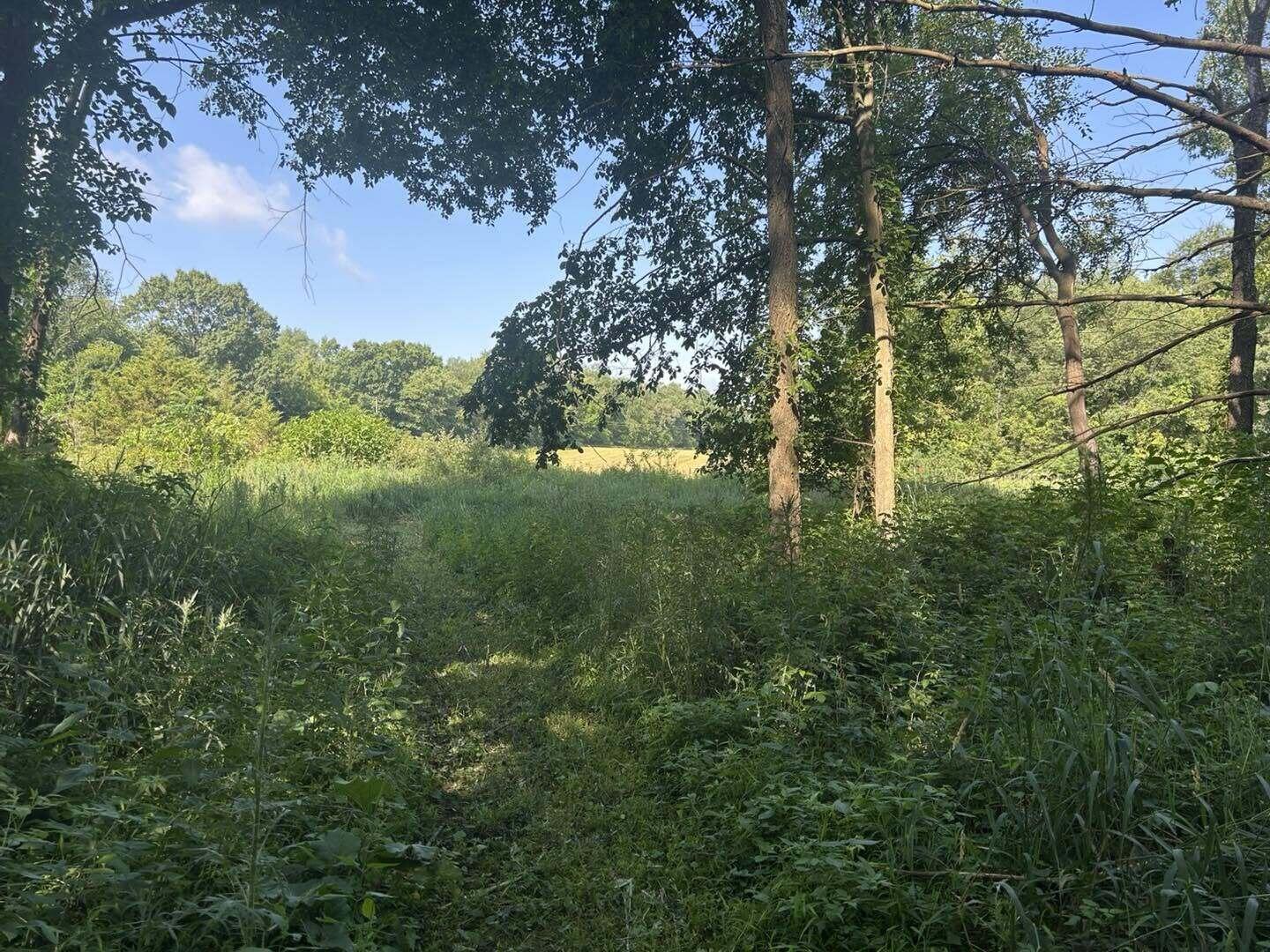 7509 Genesee Road Property Photo 11