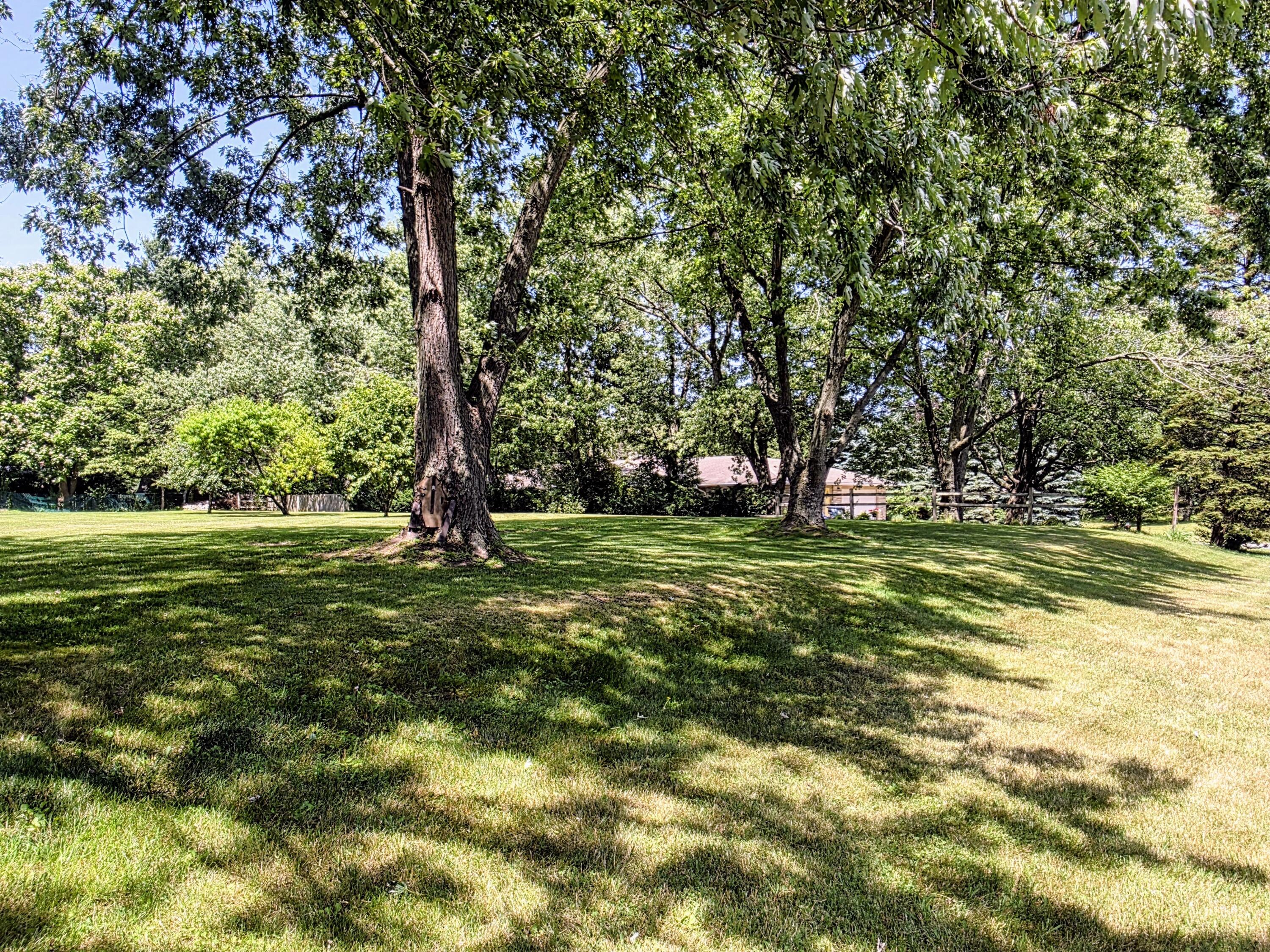 6421 Plainfield Avenue Property Photo 6