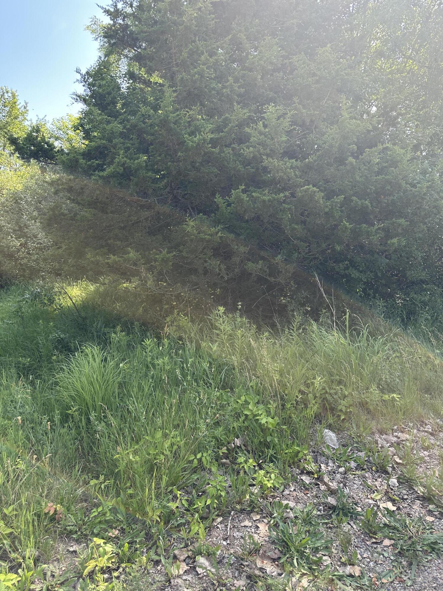 11820 Penlawn Drive Property Photo 4
