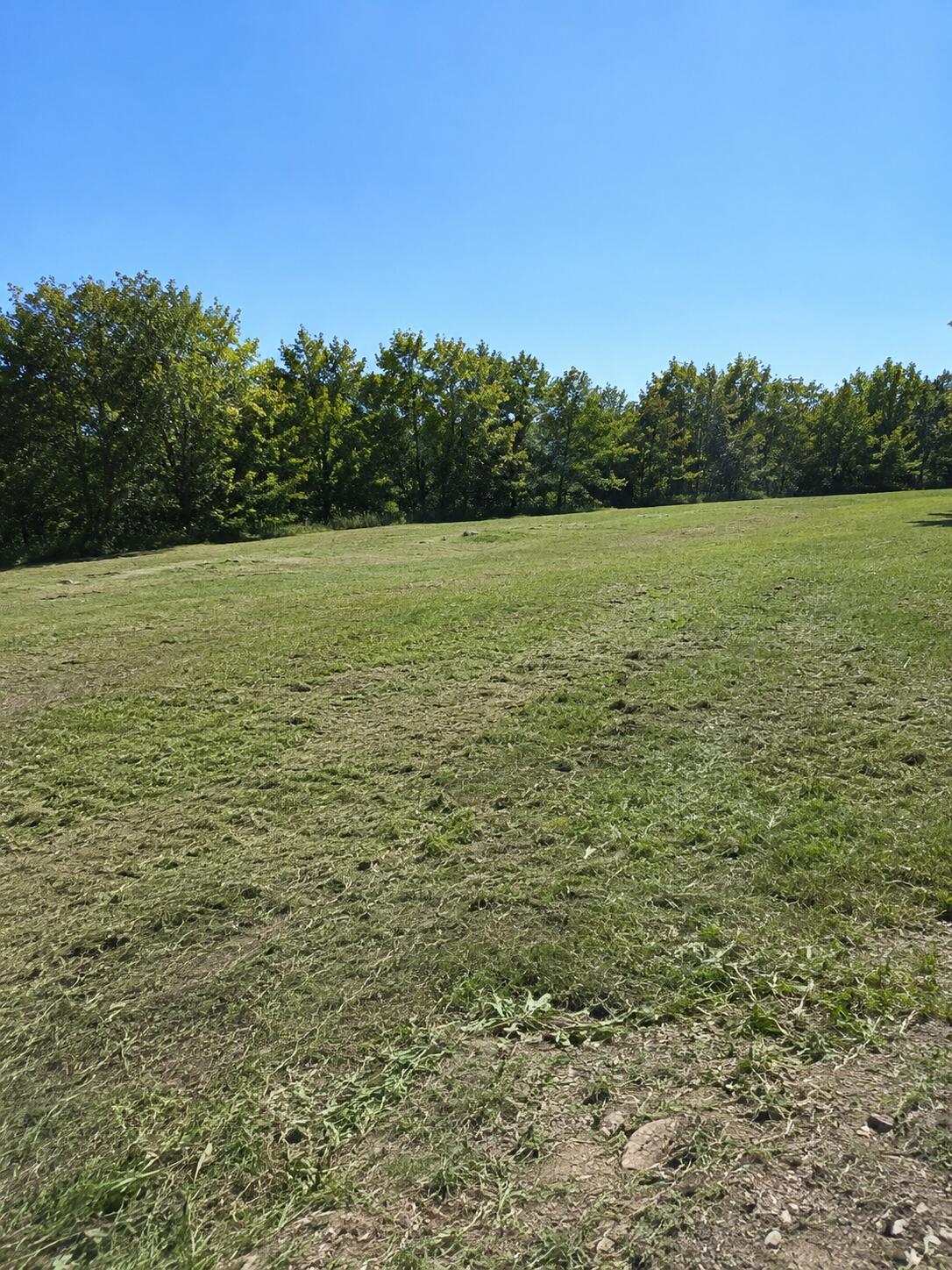 11820 Penlawn Drive Property Photo 6