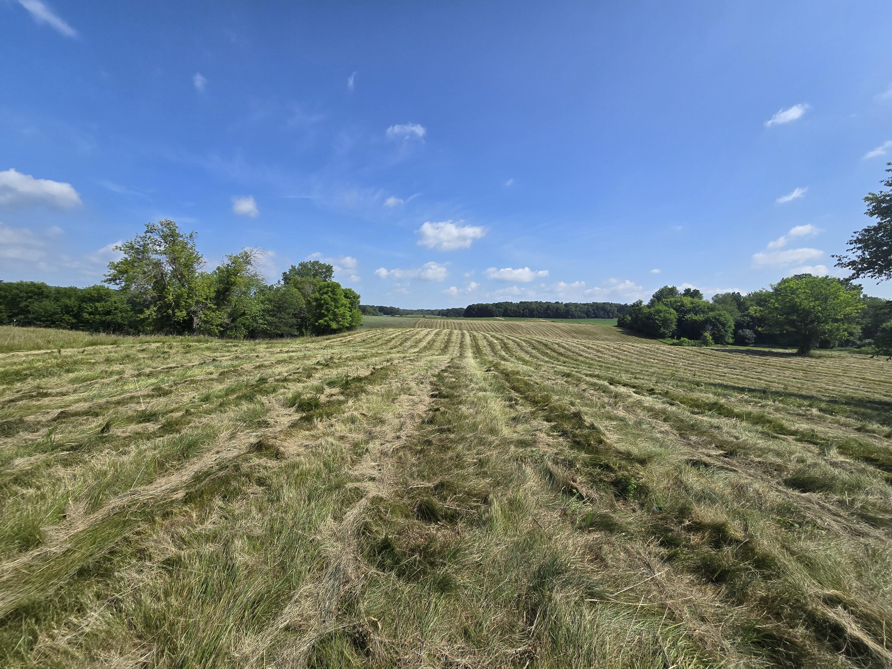 3544 Mechanic Road Property Photo 10
