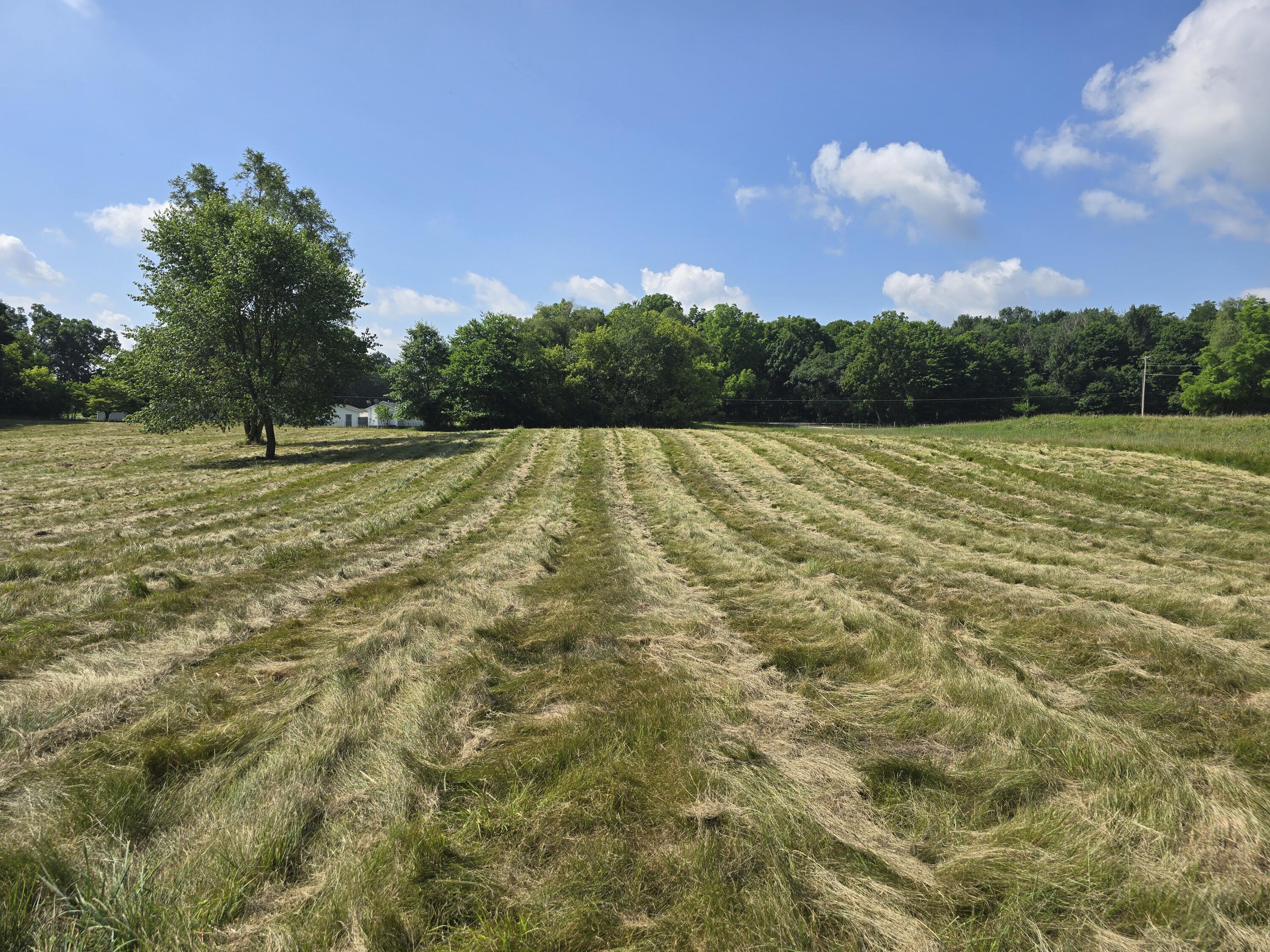 3544 Mechanic Road Property Photo 11