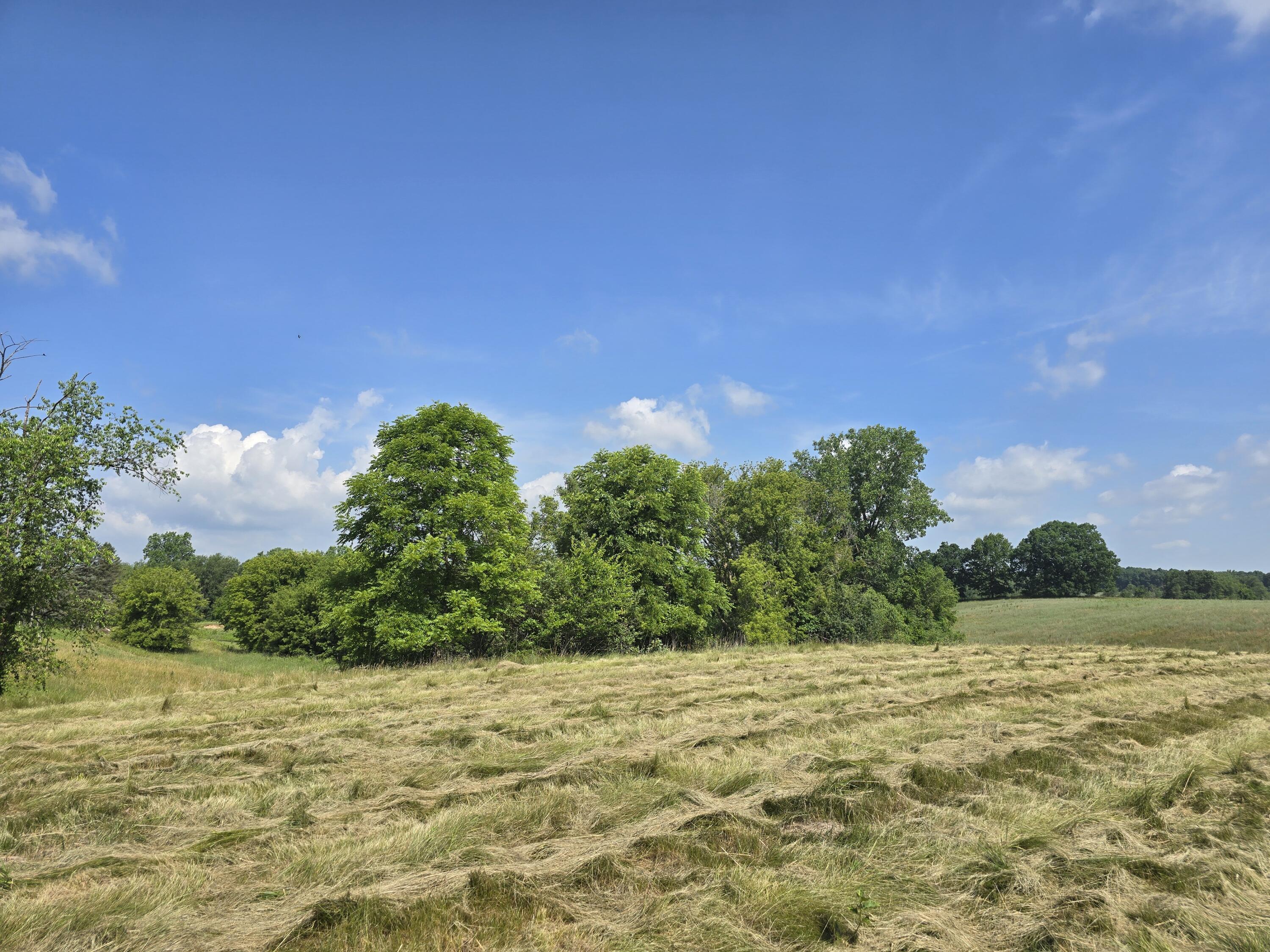 3544 Mechanic Road Property Photo 12