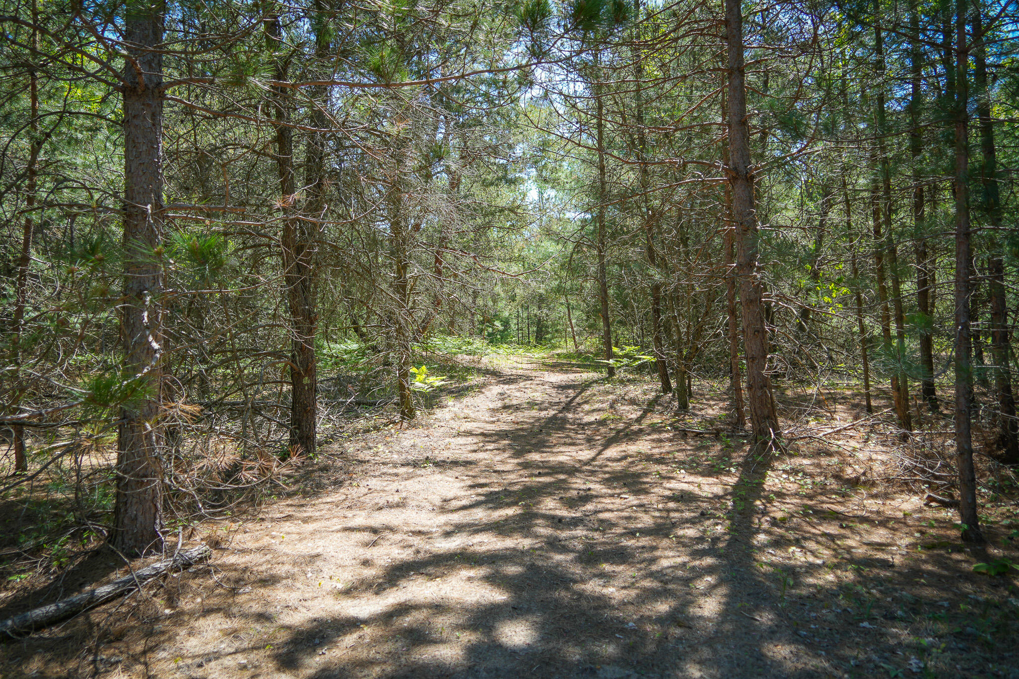 Parcel C Niemi Road Property Photo 22
