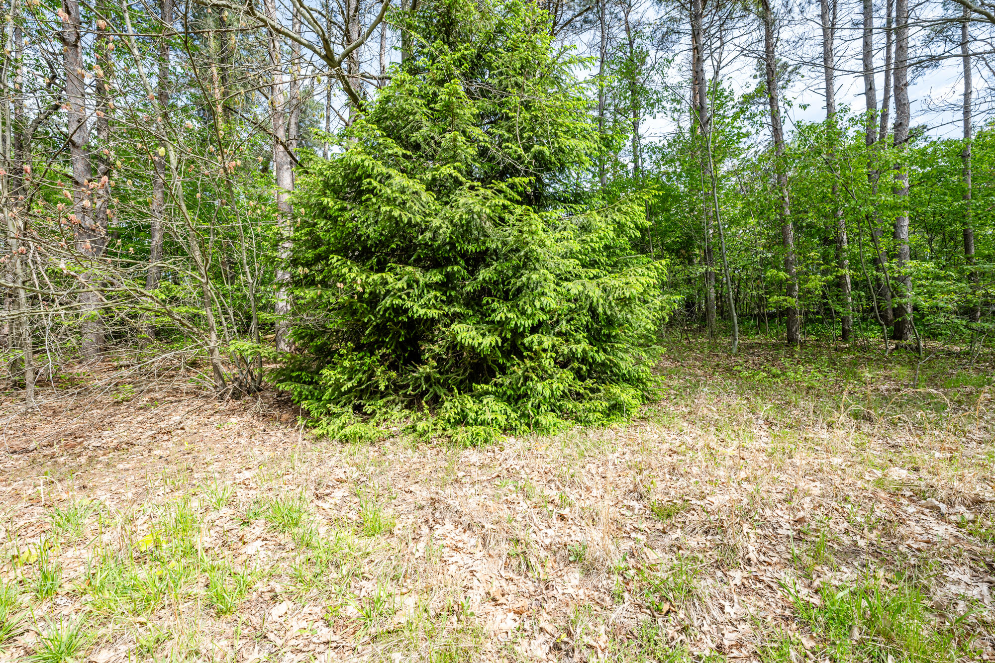 0a Linke Rd Road Property Photo 2