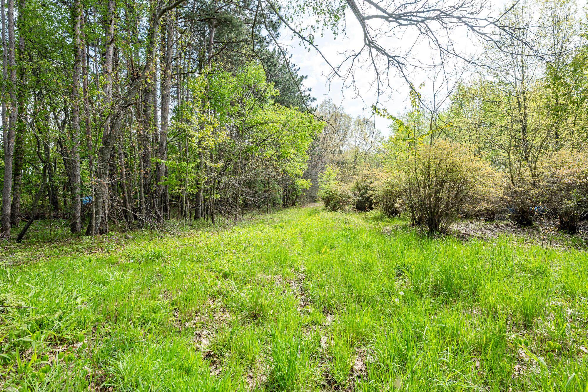 0a Linke Rd Road Property Photo 4