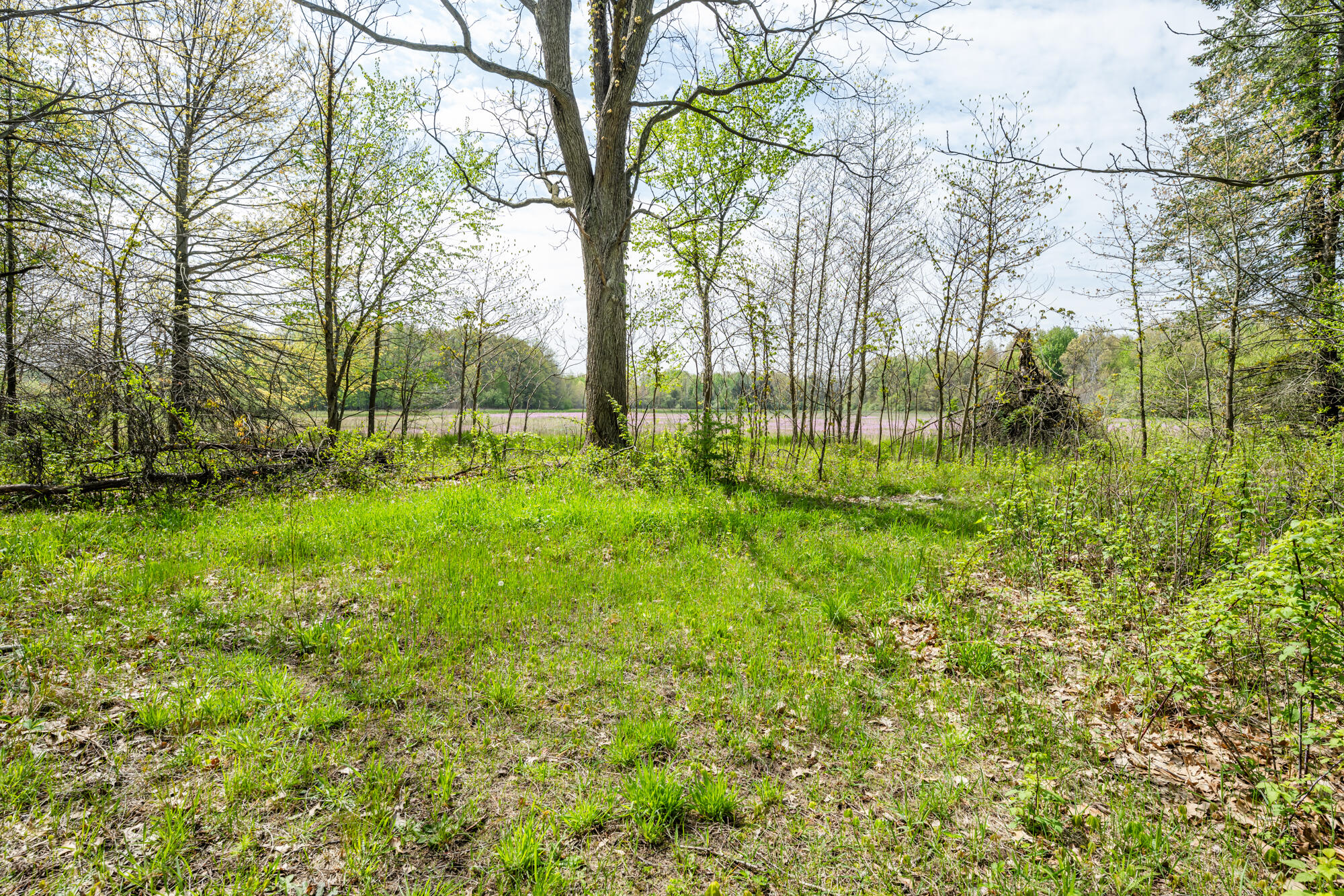 0a Linke Rd Road Property Photo 6