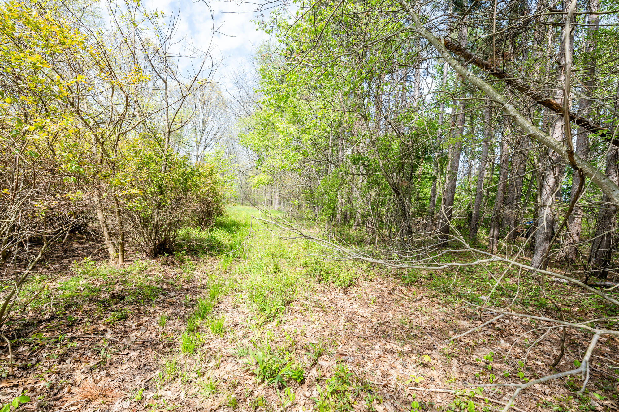 0a Linke Rd Road Property Photo 15