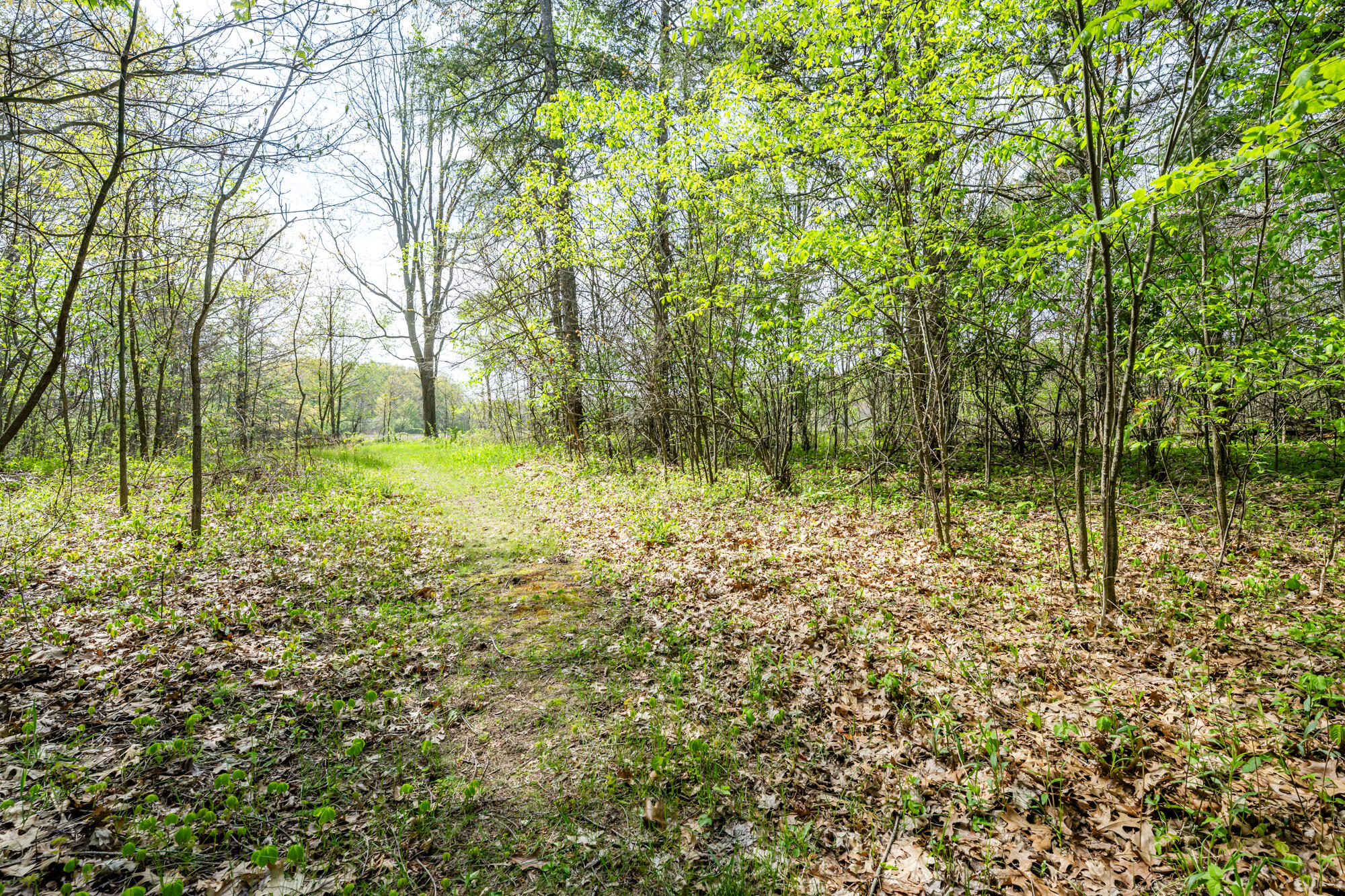 0a Linke Rd Road Property Photo 17