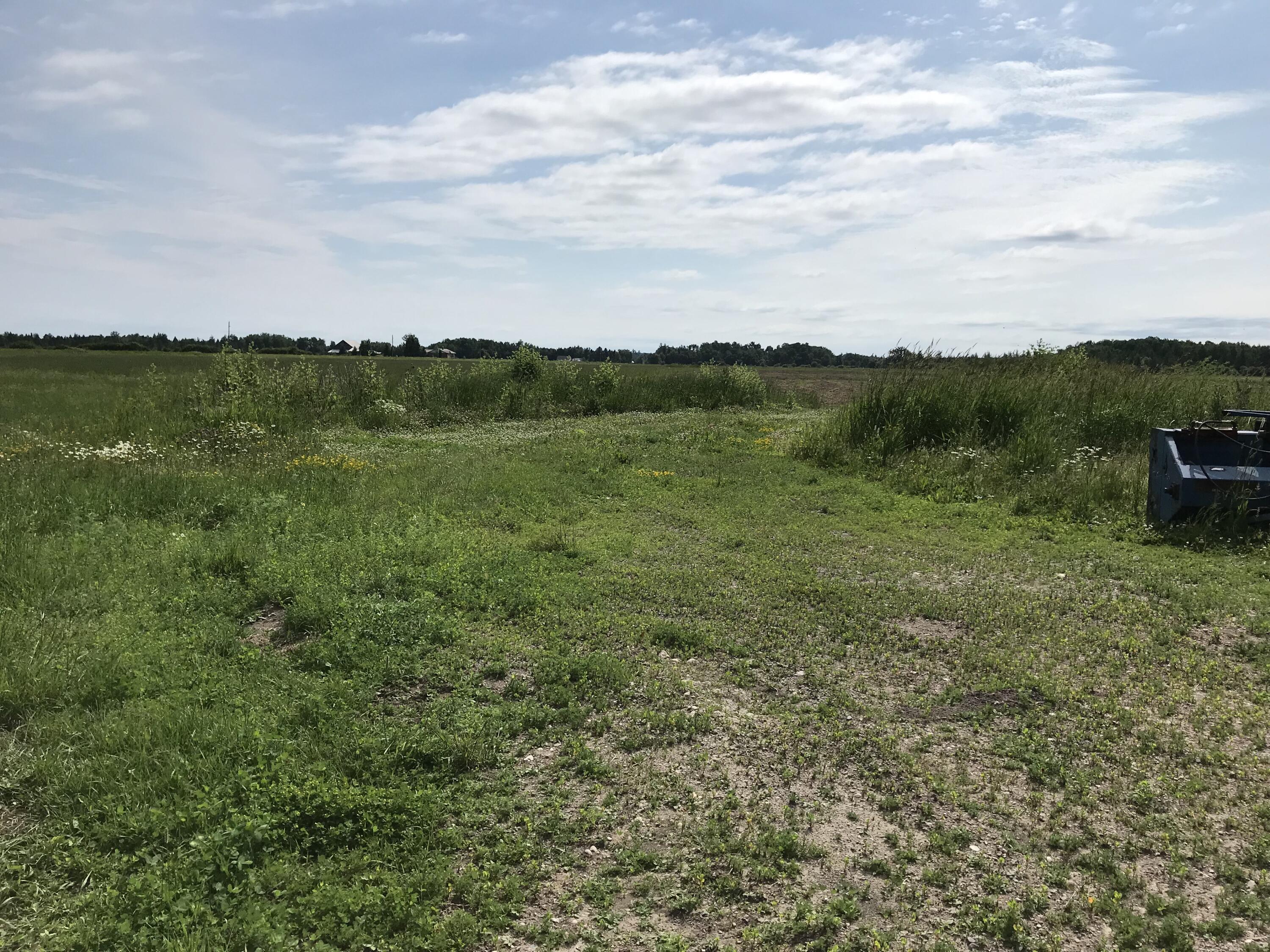 23057 S Clegg Road Property Photo 28