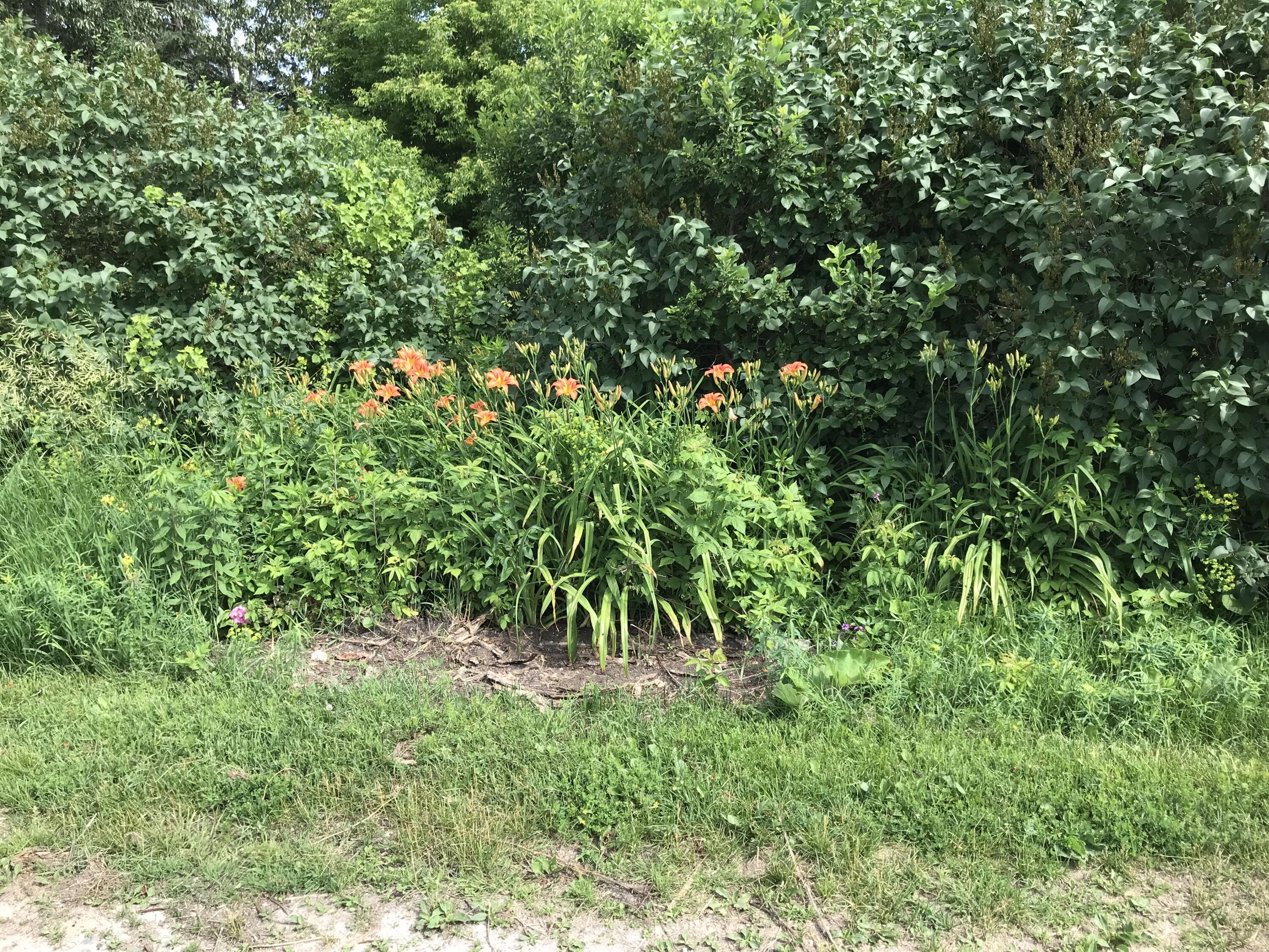 23057 S Clegg Road Property Photo 31