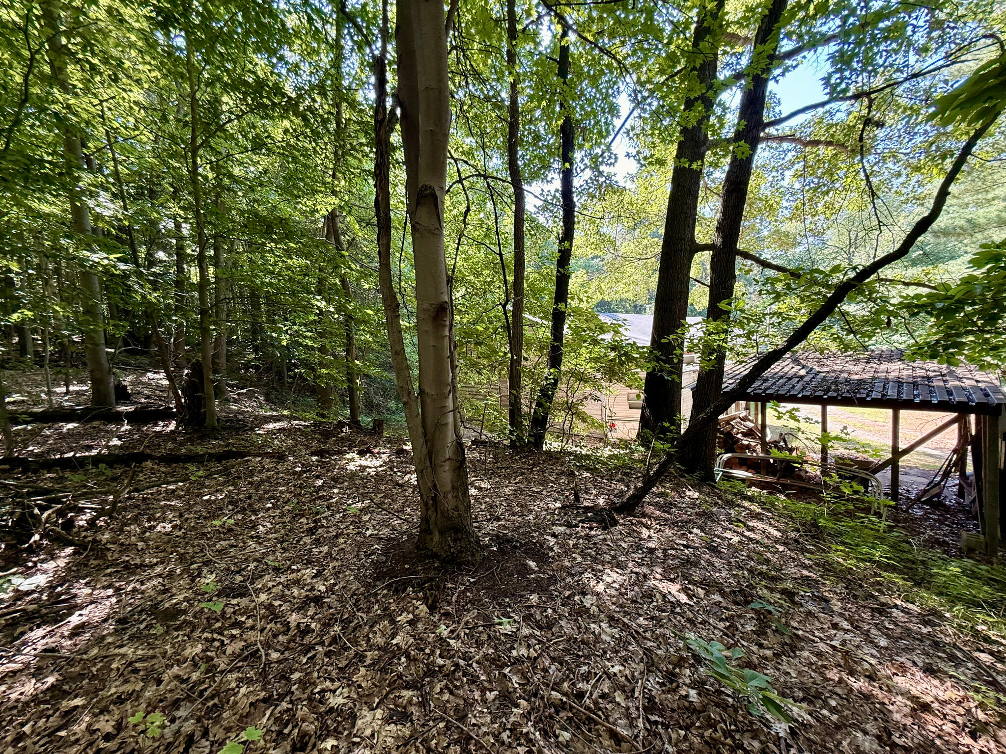 3851 21st Street Property Photo 17