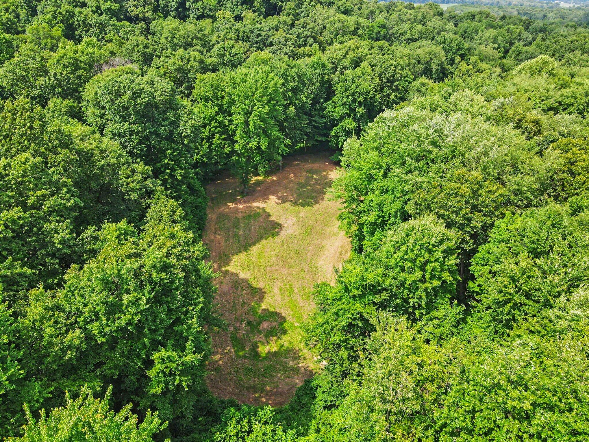 15068 Millard Road Property Photo 31