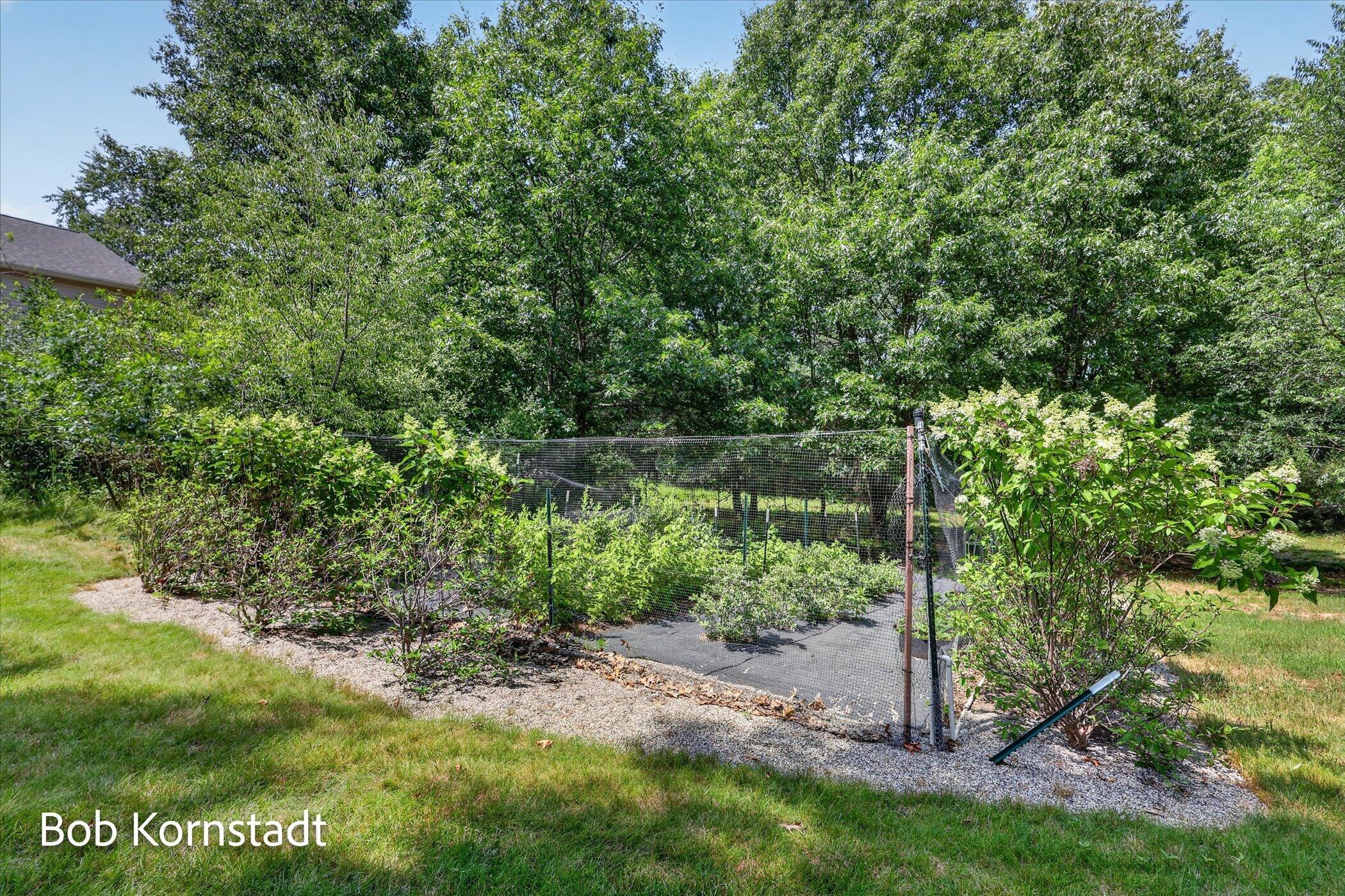 8059 Buttrick Ridge Trail Se Property Photo 59