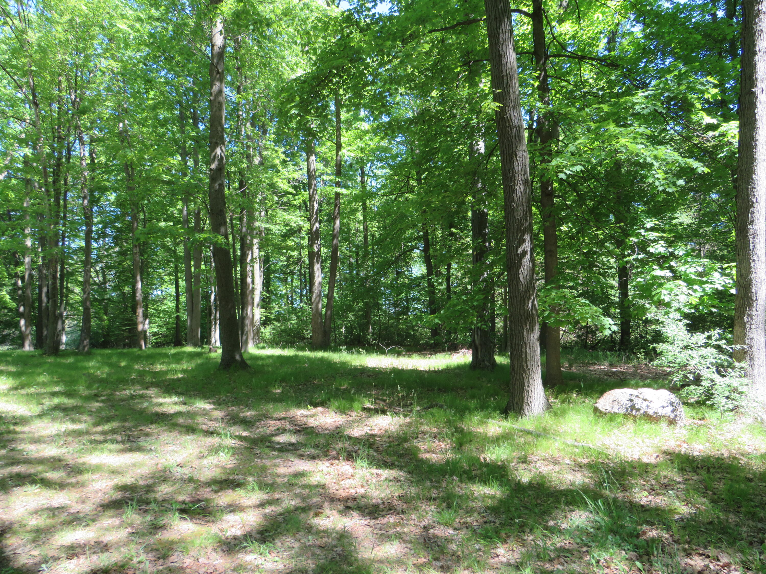 11000 N Vickeryville Road Property Photo 5