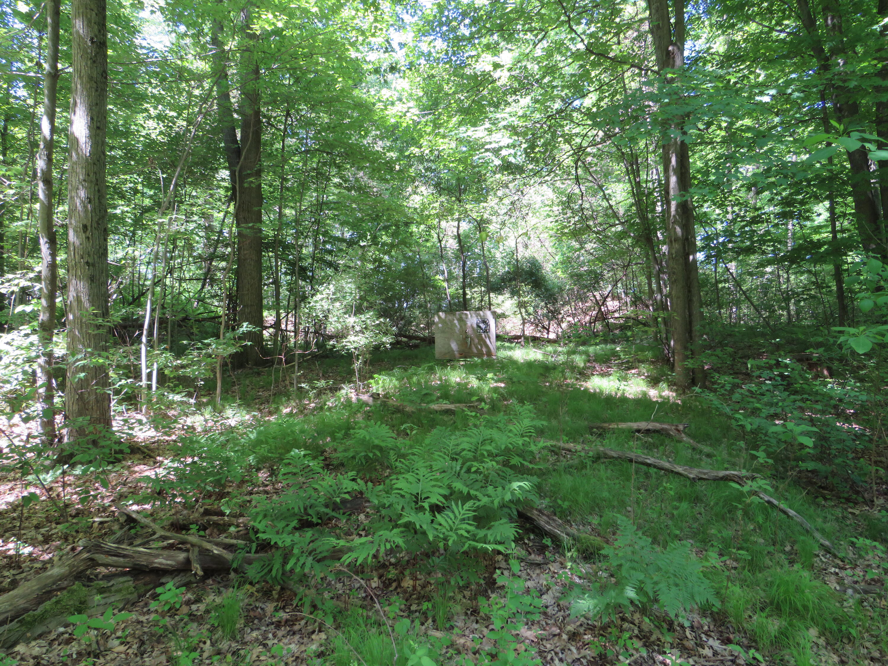 11000 N Vickeryville Road Property Photo 7