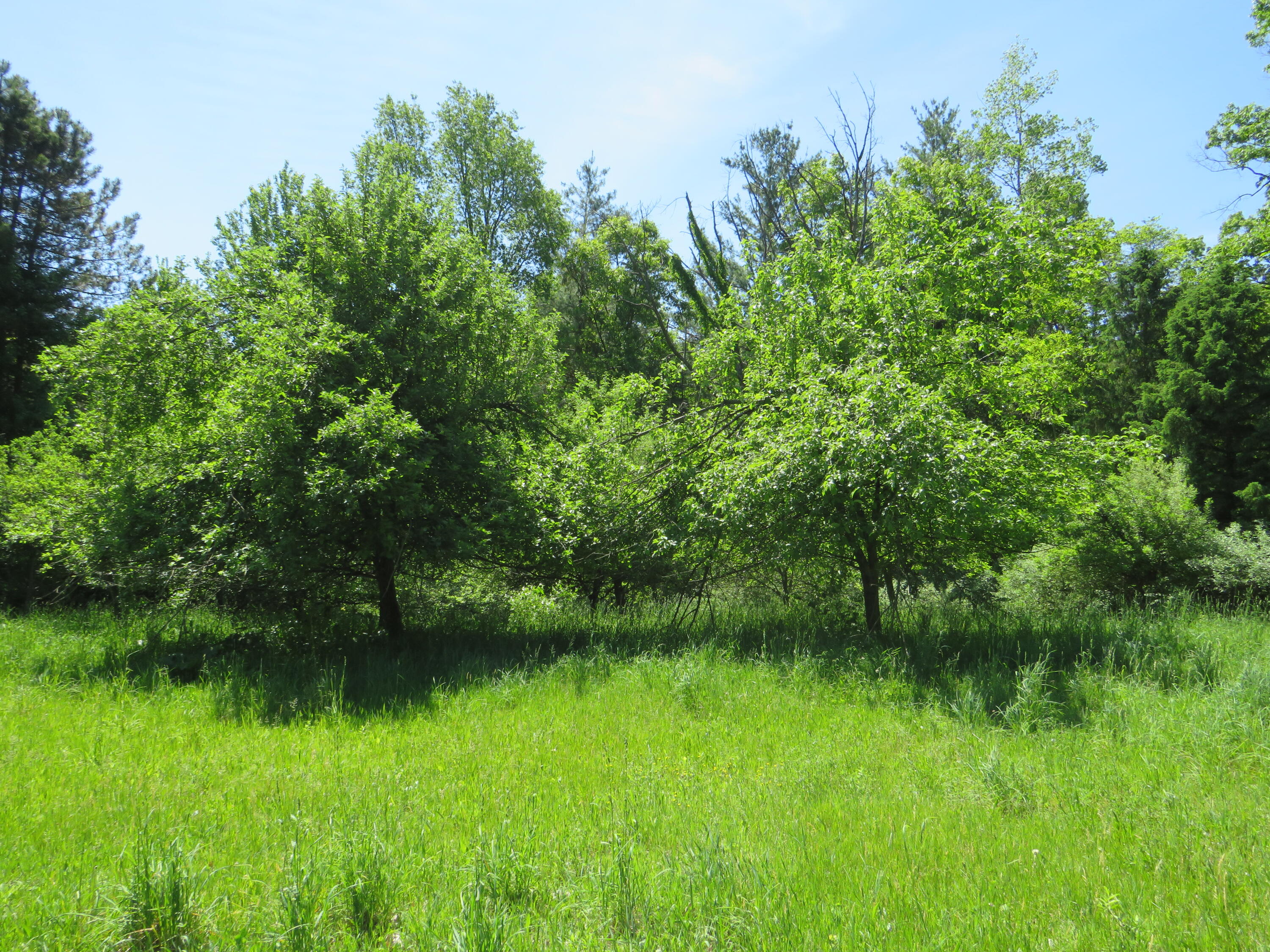 11000 N Vickeryville Road Property Photo 10