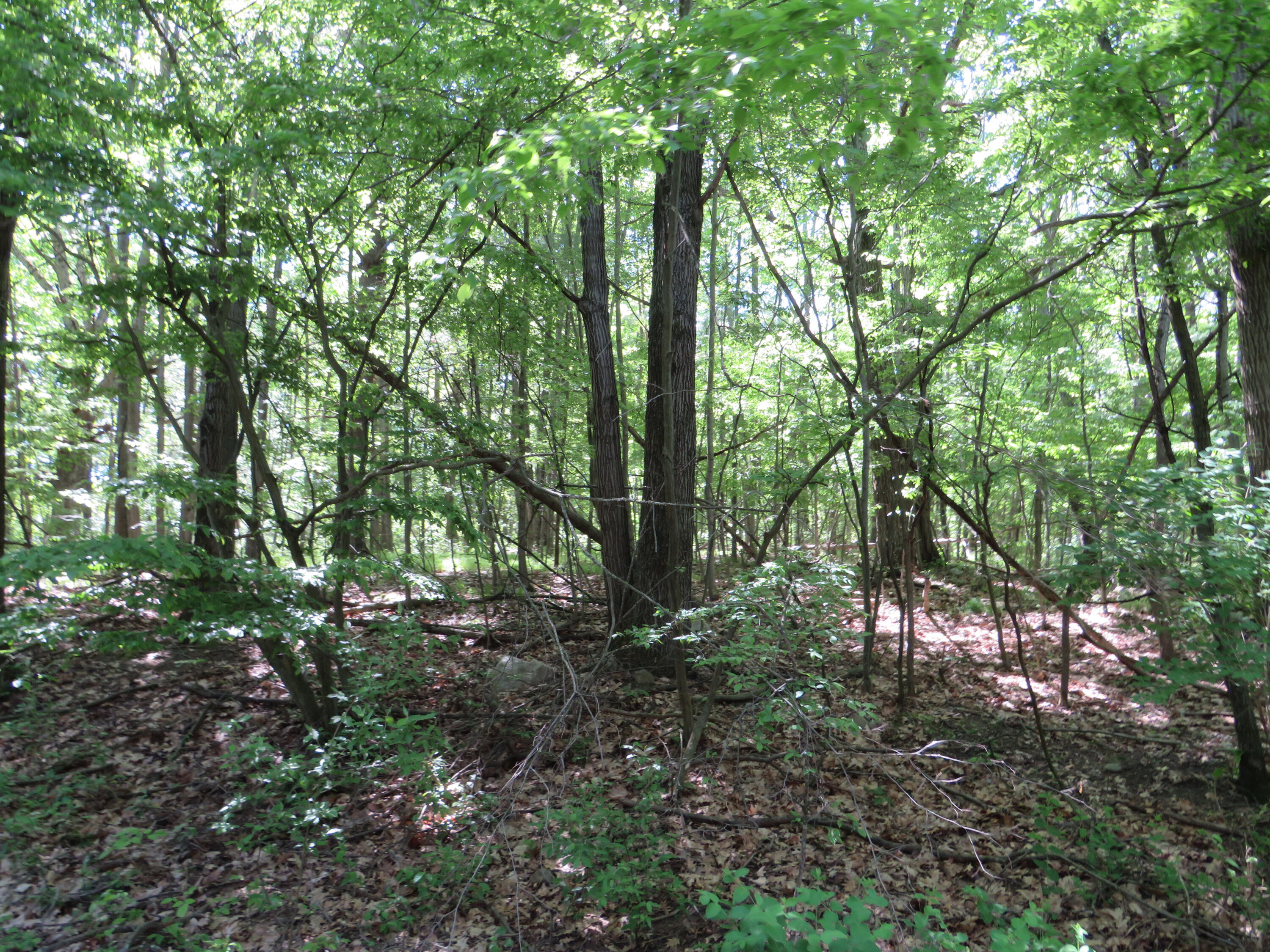 11000 N Vickeryville Road Property Photo 13