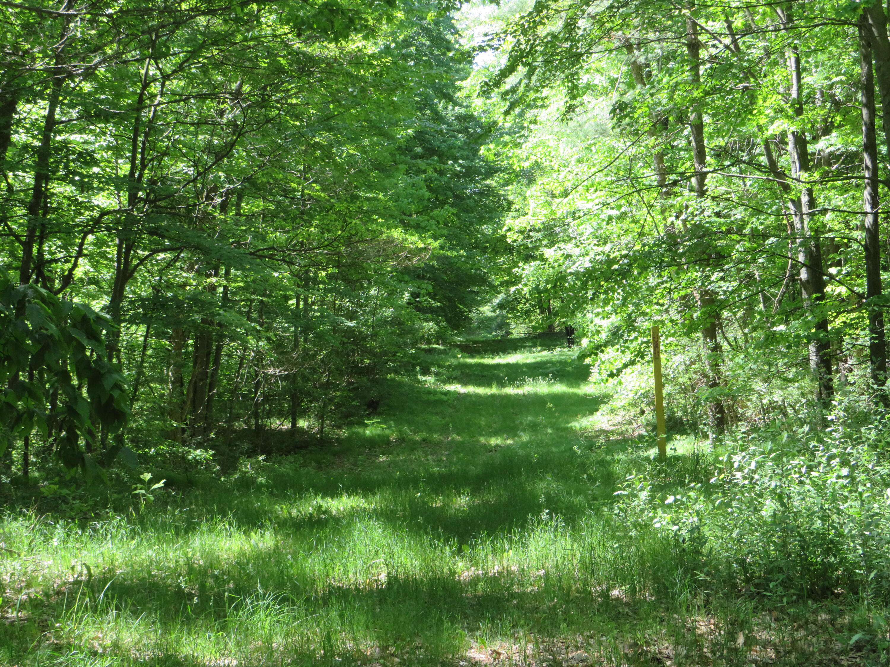 11000 N Vickeryville Road Property Photo 14