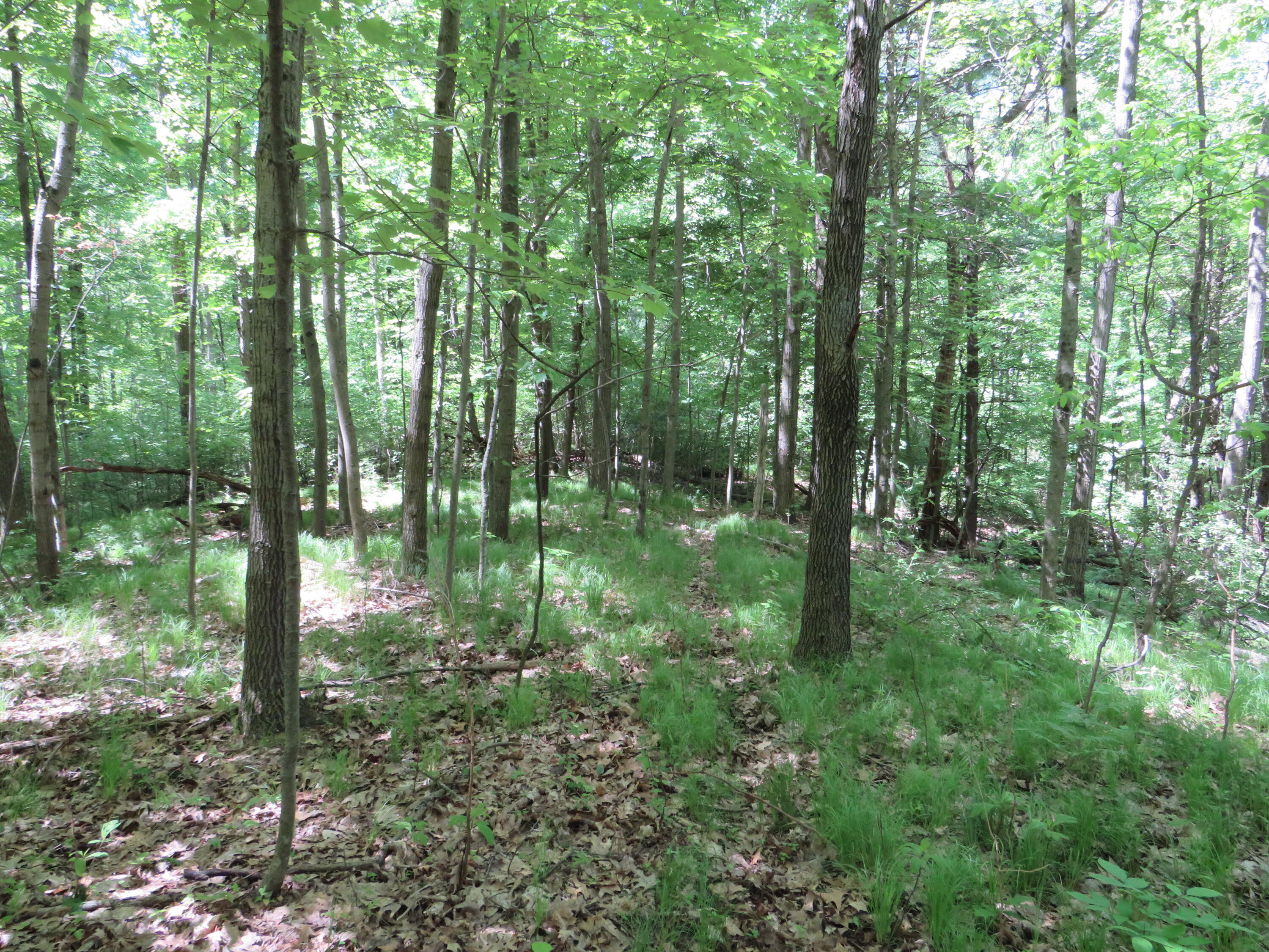 11000 N Vickeryville Road Property Photo 15