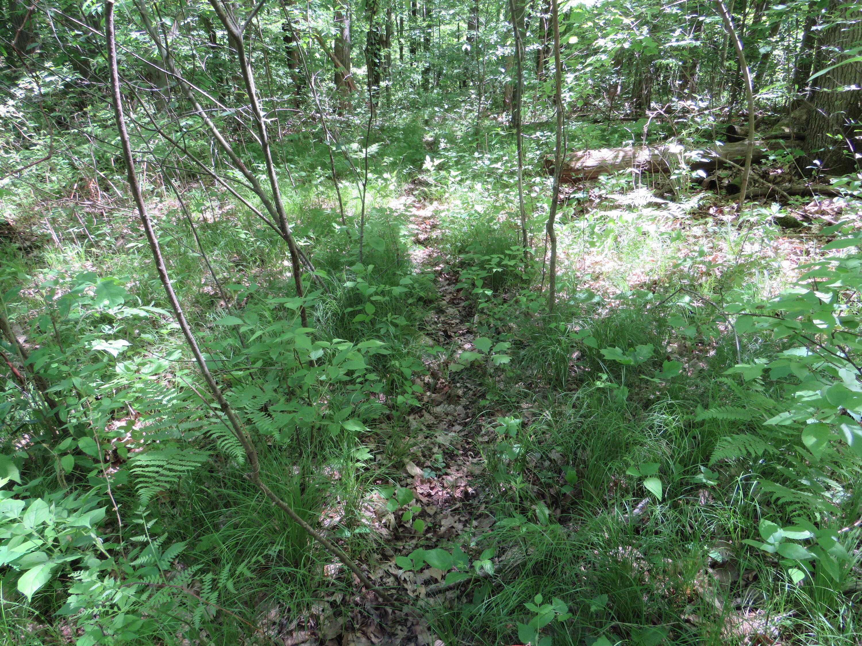 11000 N Vickeryville Road Property Photo 18