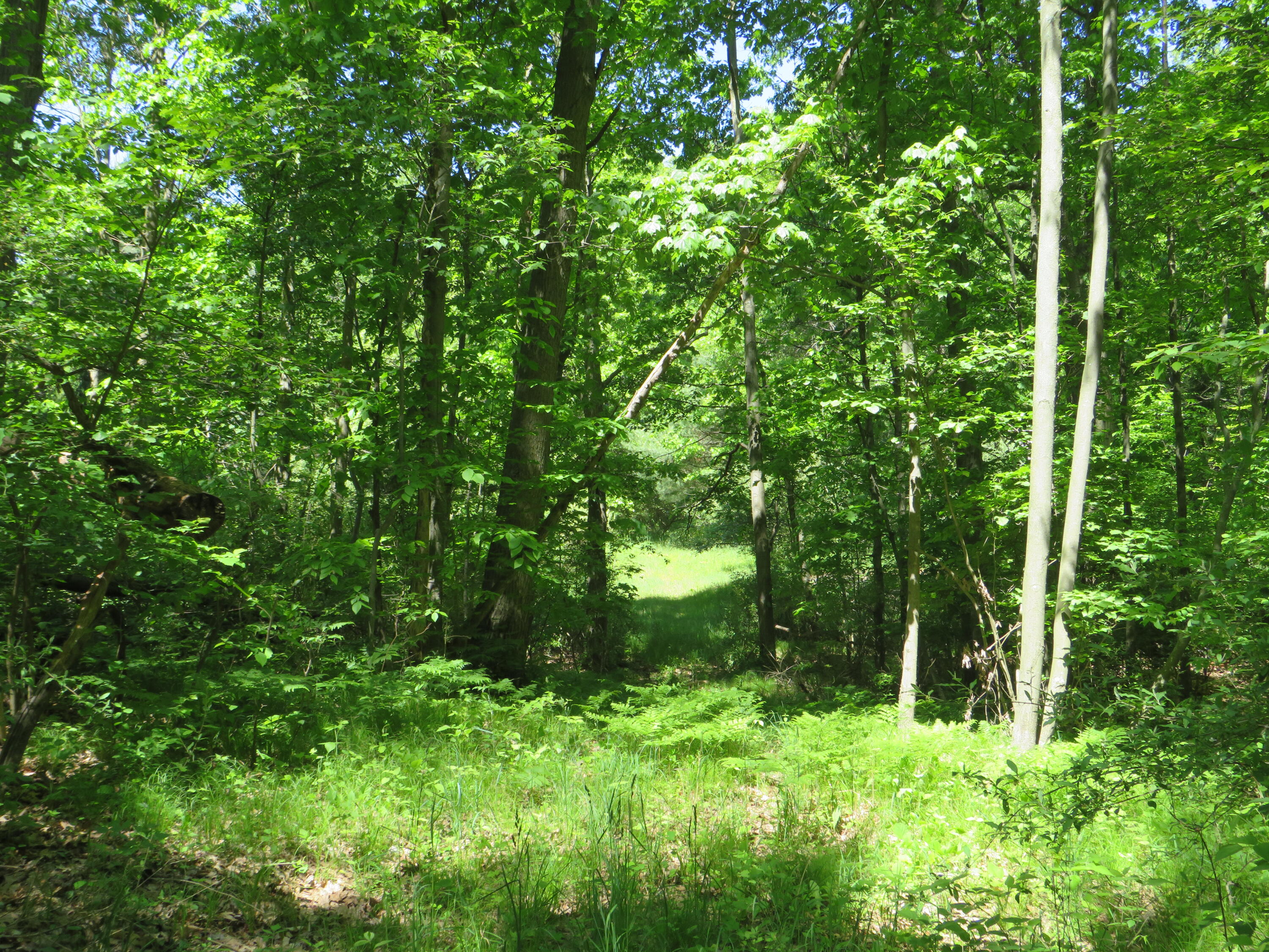 11000 N Vickeryville Road Property Photo 19