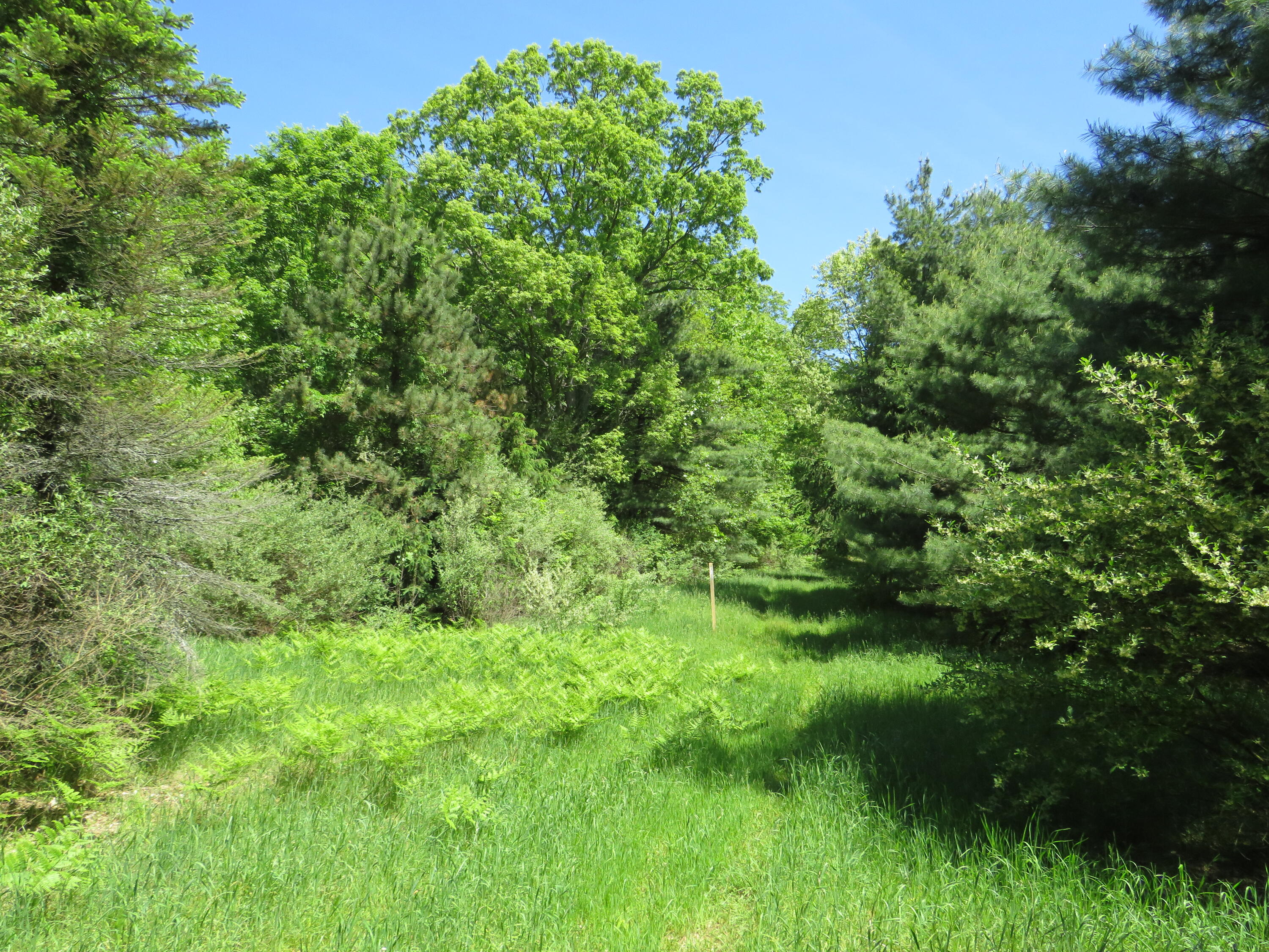 11000 N Vickeryville Road Property Photo 23