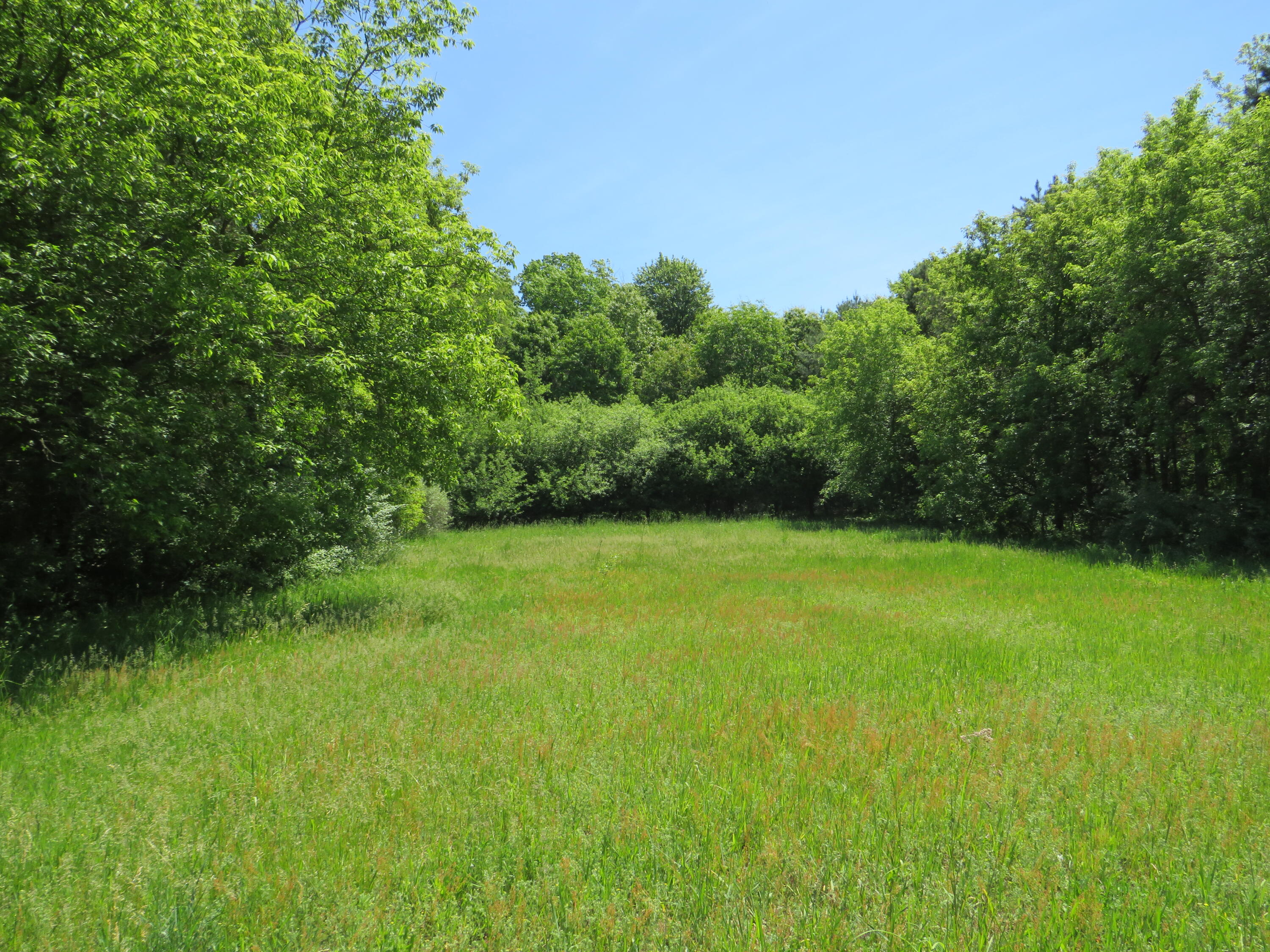 11000 N Vickeryville Road Property Photo 26