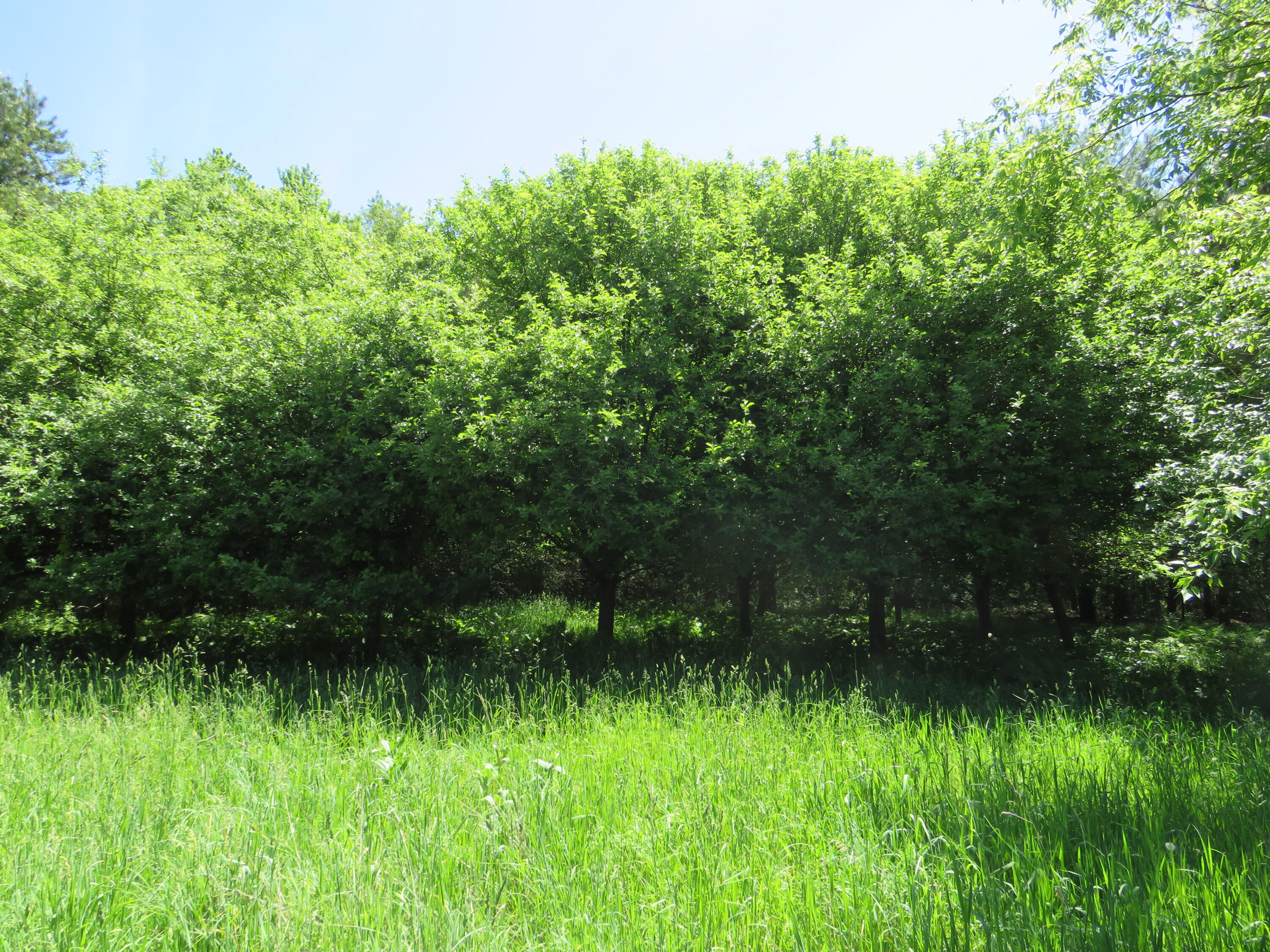 11000 N Vickeryville Road Property Photo 27
