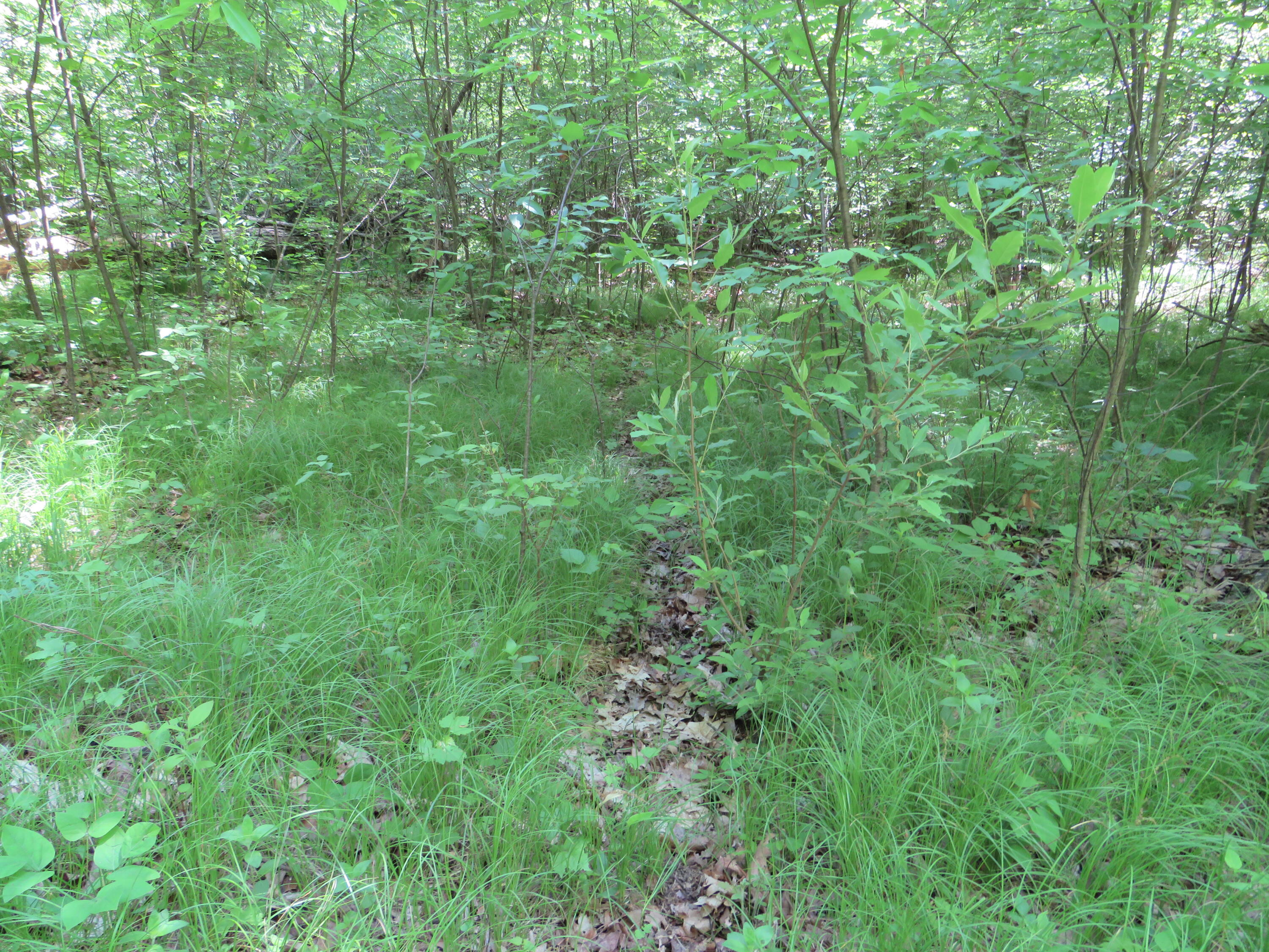 11000 N Vickeryville Road Property Photo 31