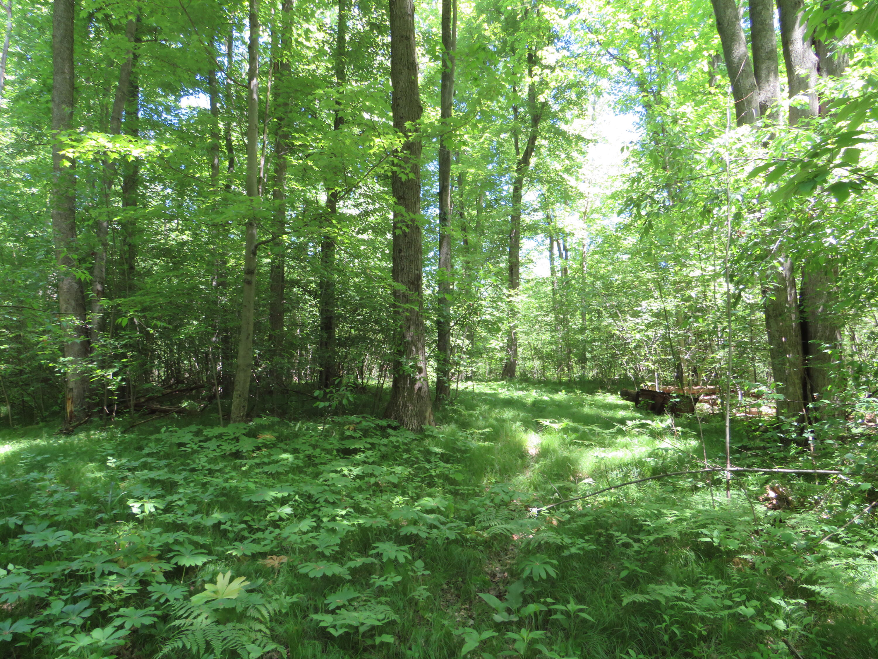 11000 N Vickeryville Road Property Photo 32