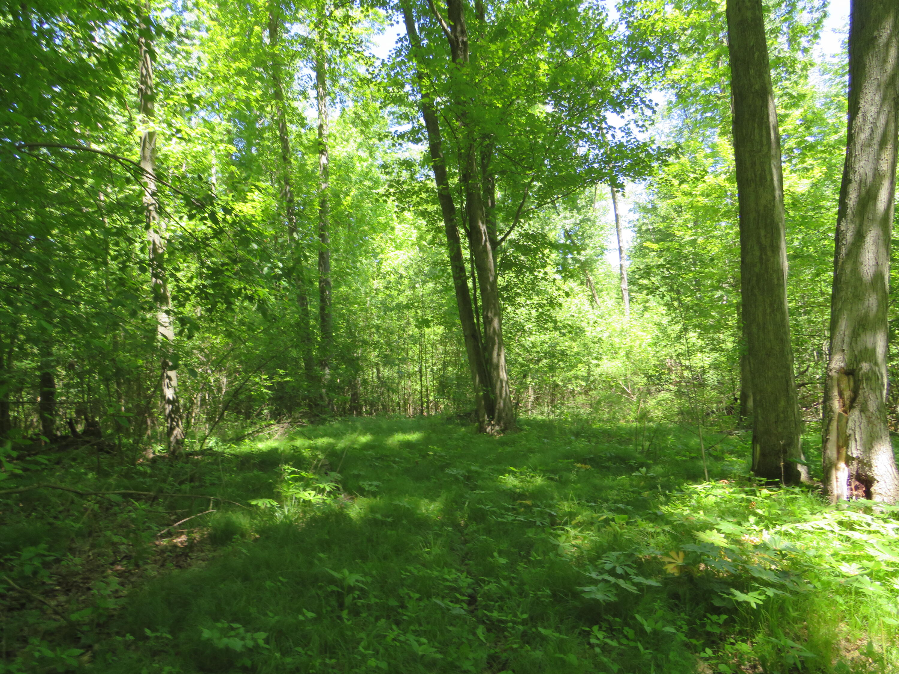 11000 N Vickeryville Road Property Photo 33